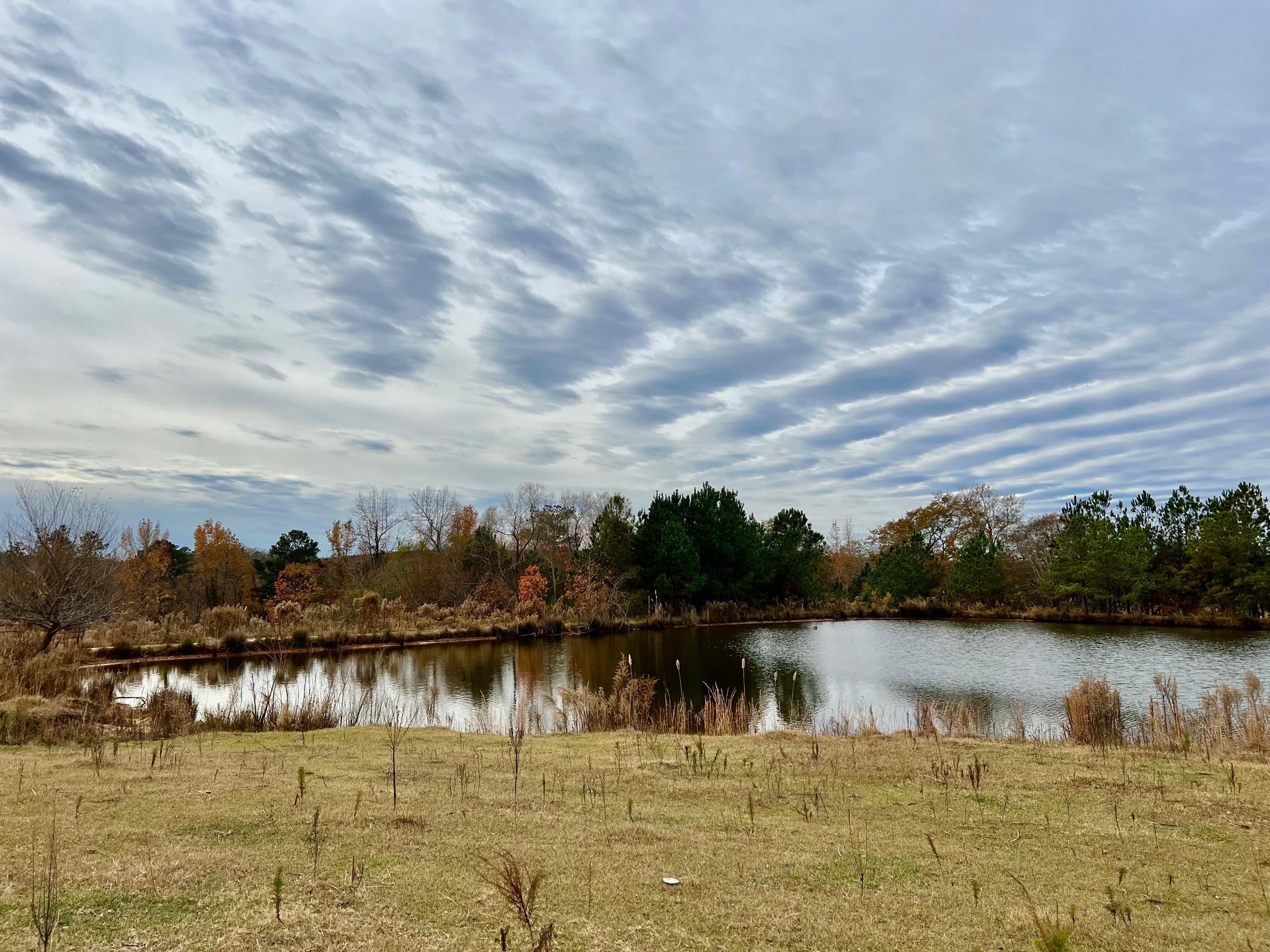 543 Willie Pickett Road, Mount Croghan, SC 29727