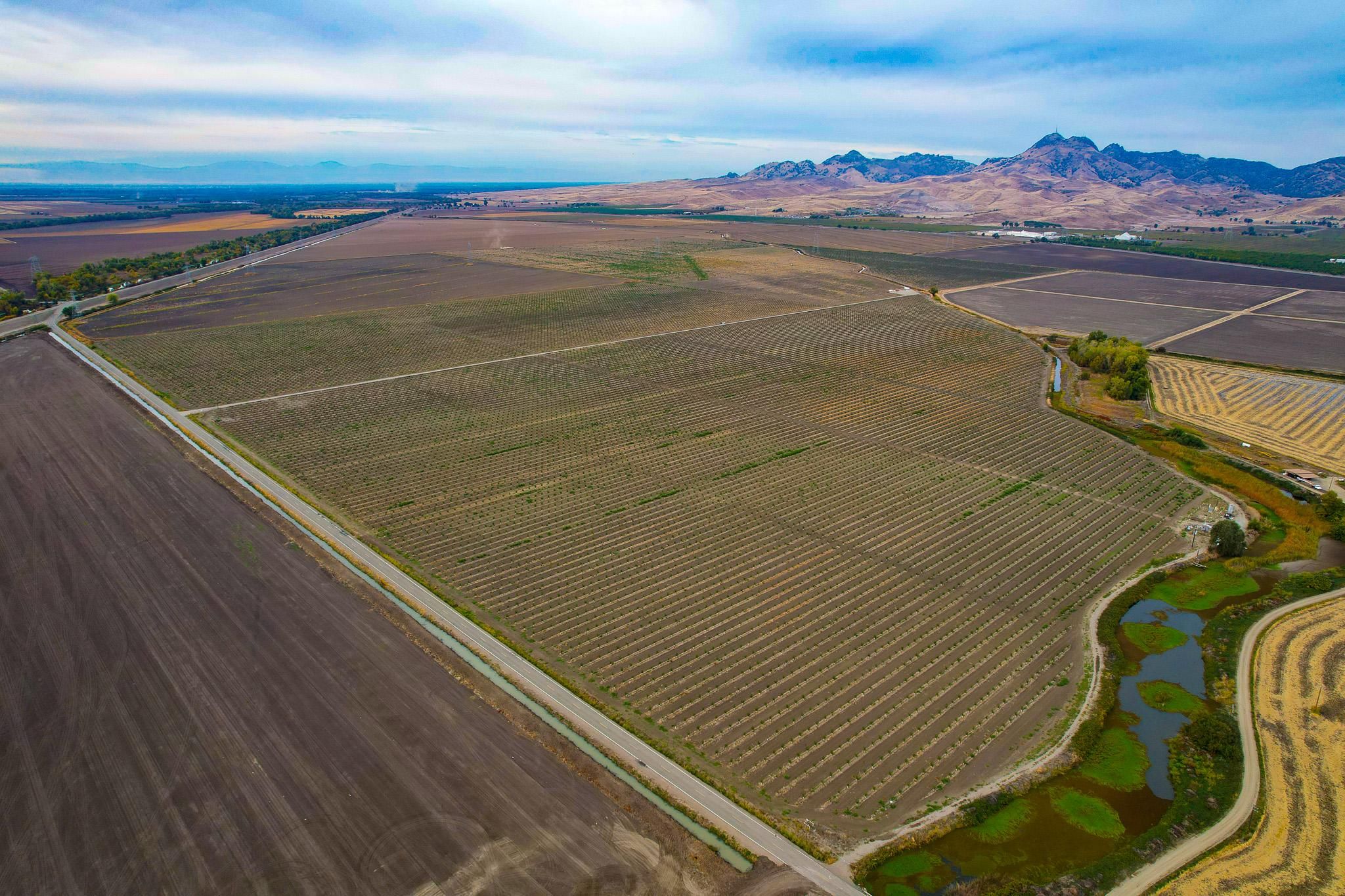 416 acres in Sutter County, California