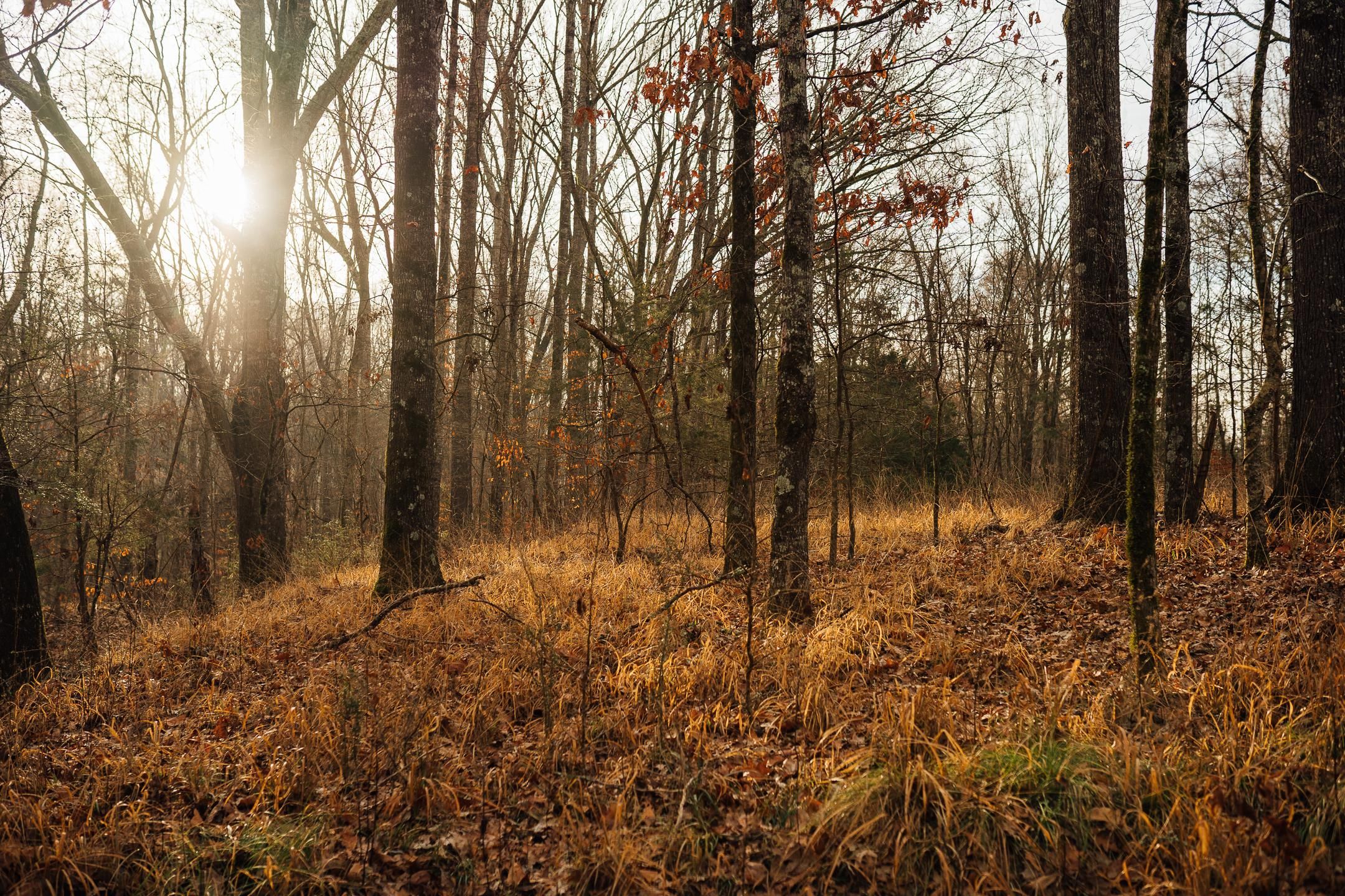 238 acres in Yazoo County, Mississippi