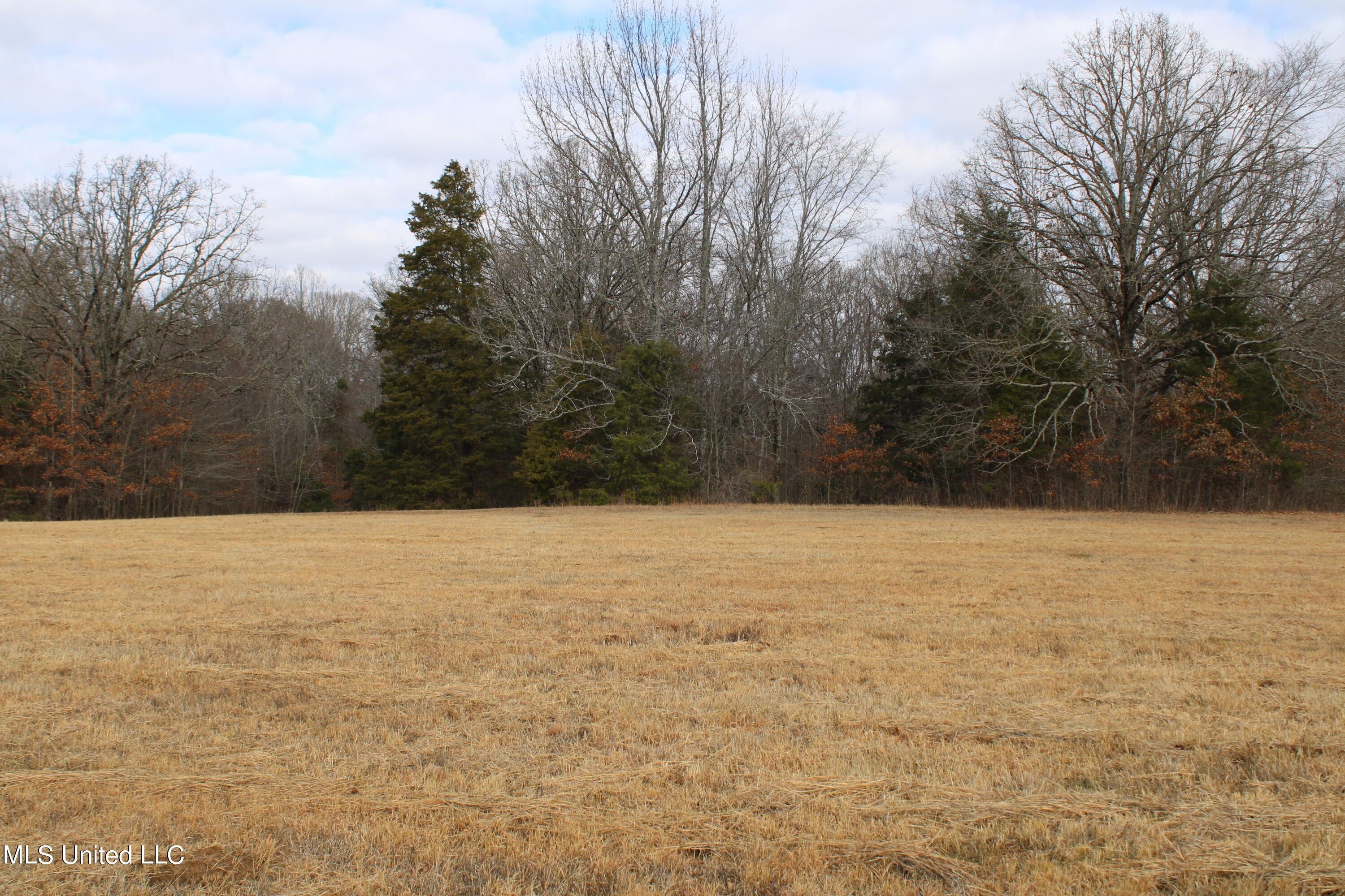 10.38 acres in DeSoto County, Mississippi