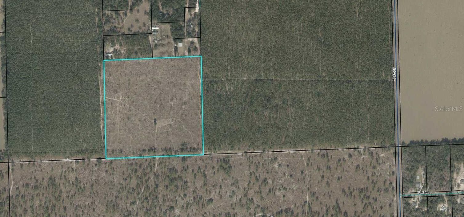 40 acres in Gilchrist County, Florida