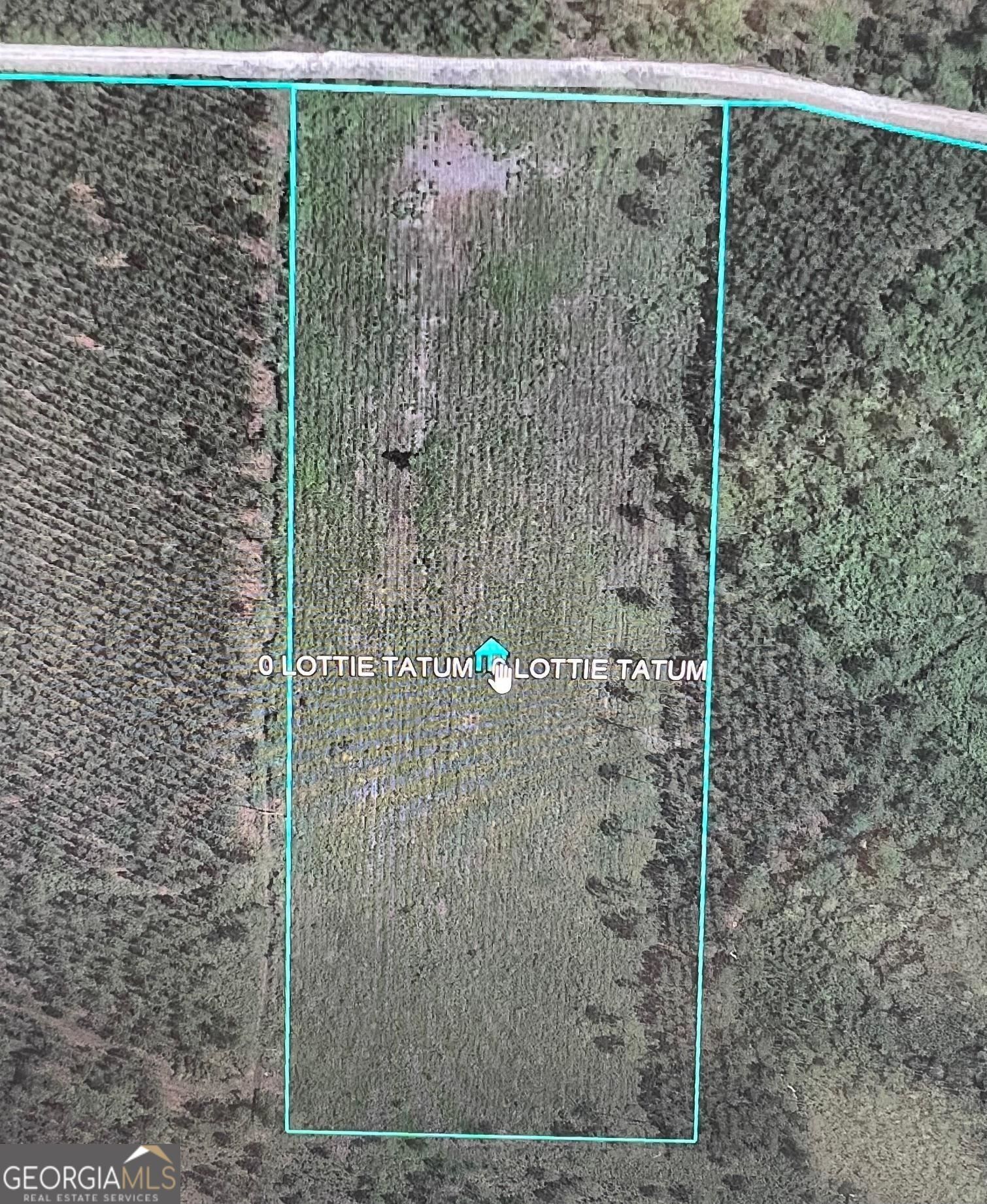 10 acres in Ware County,