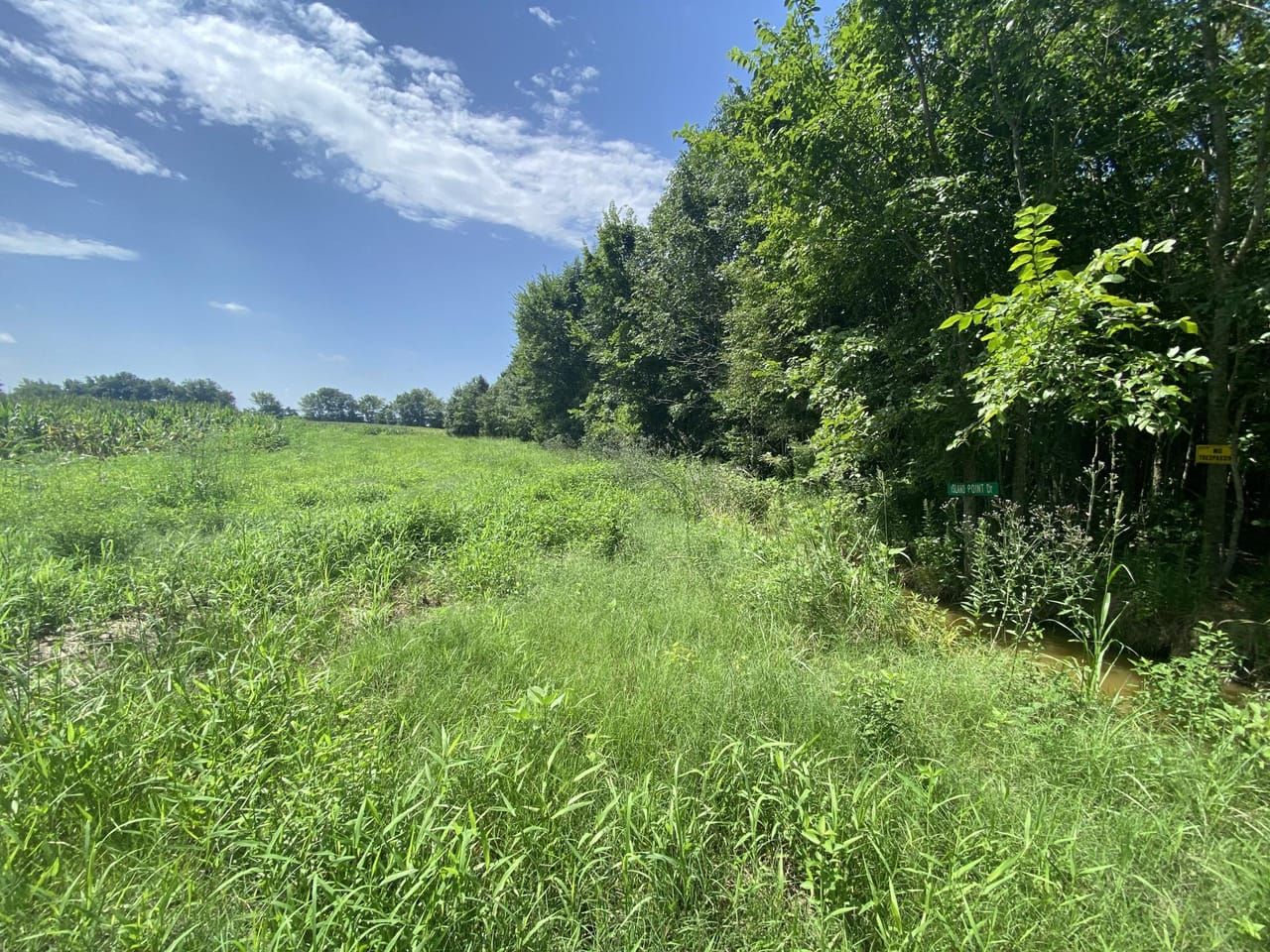 25 acres in Morehouse Parish, Louisiana