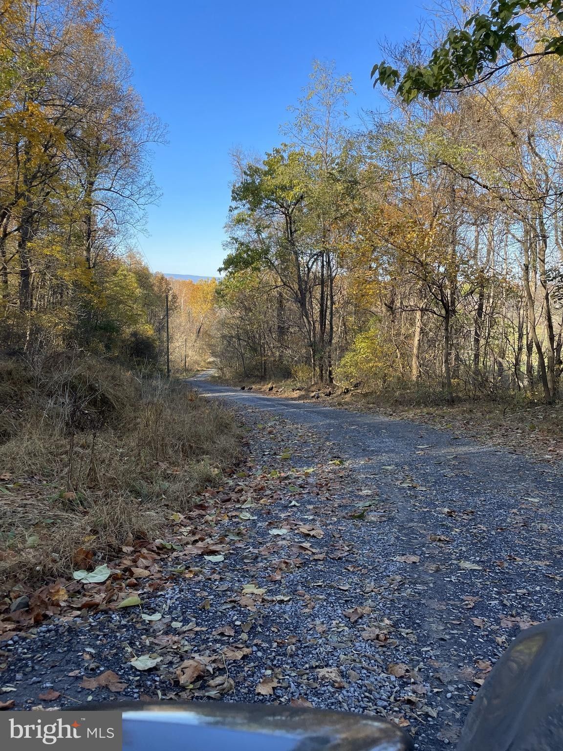 20 acres in Warren County, Virginia