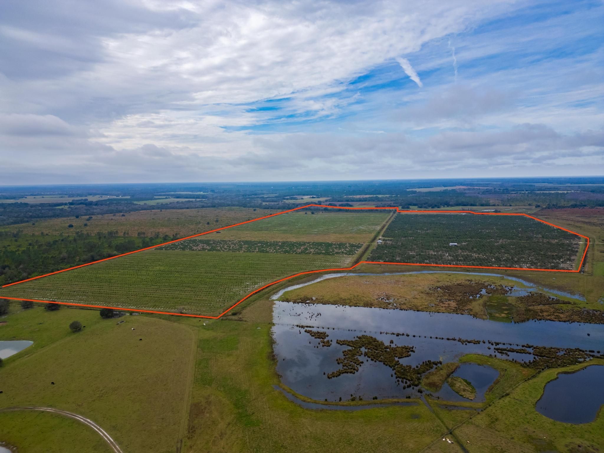 213 acres in Hardee County, Florida