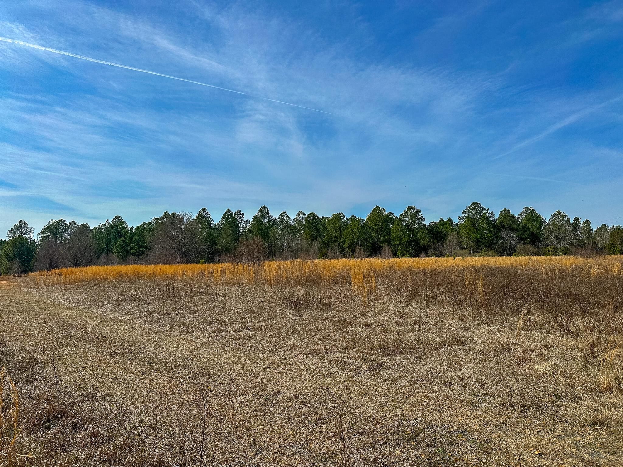 101 acres in Dawson, GA, 39842