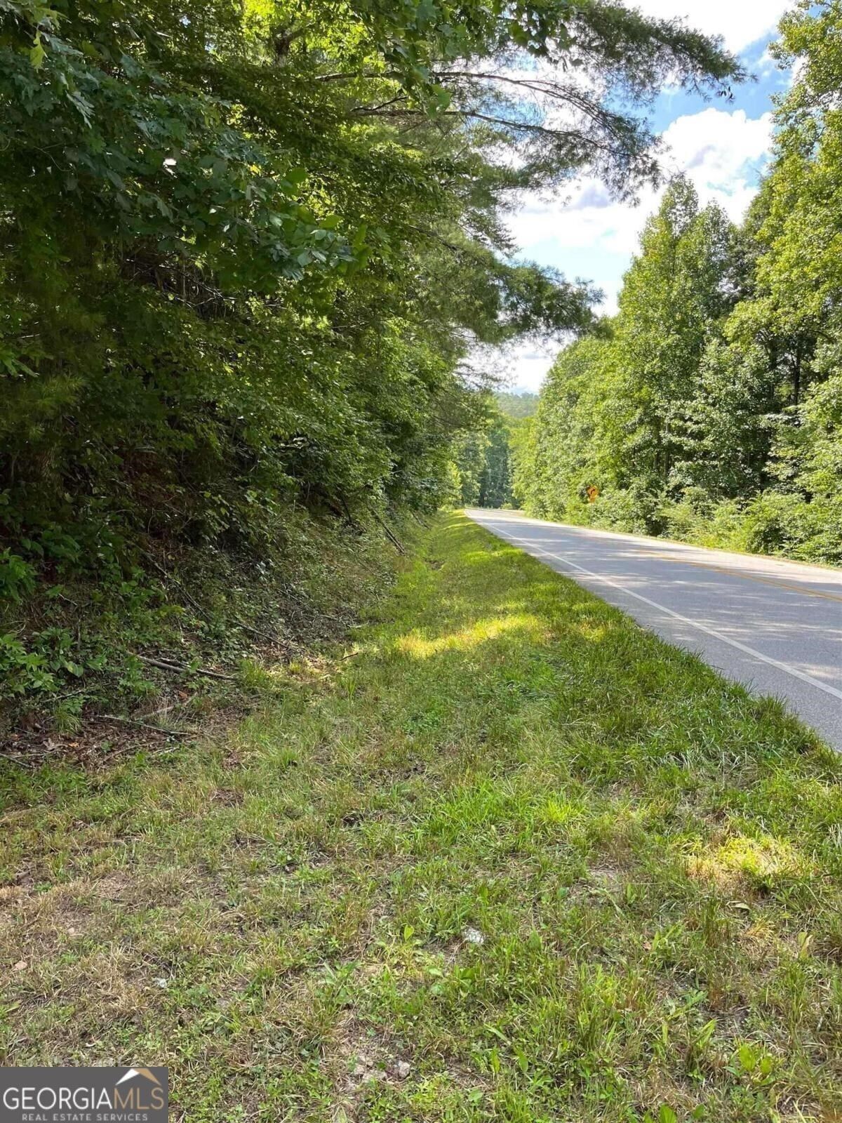 38.1 acres in Rabun County,