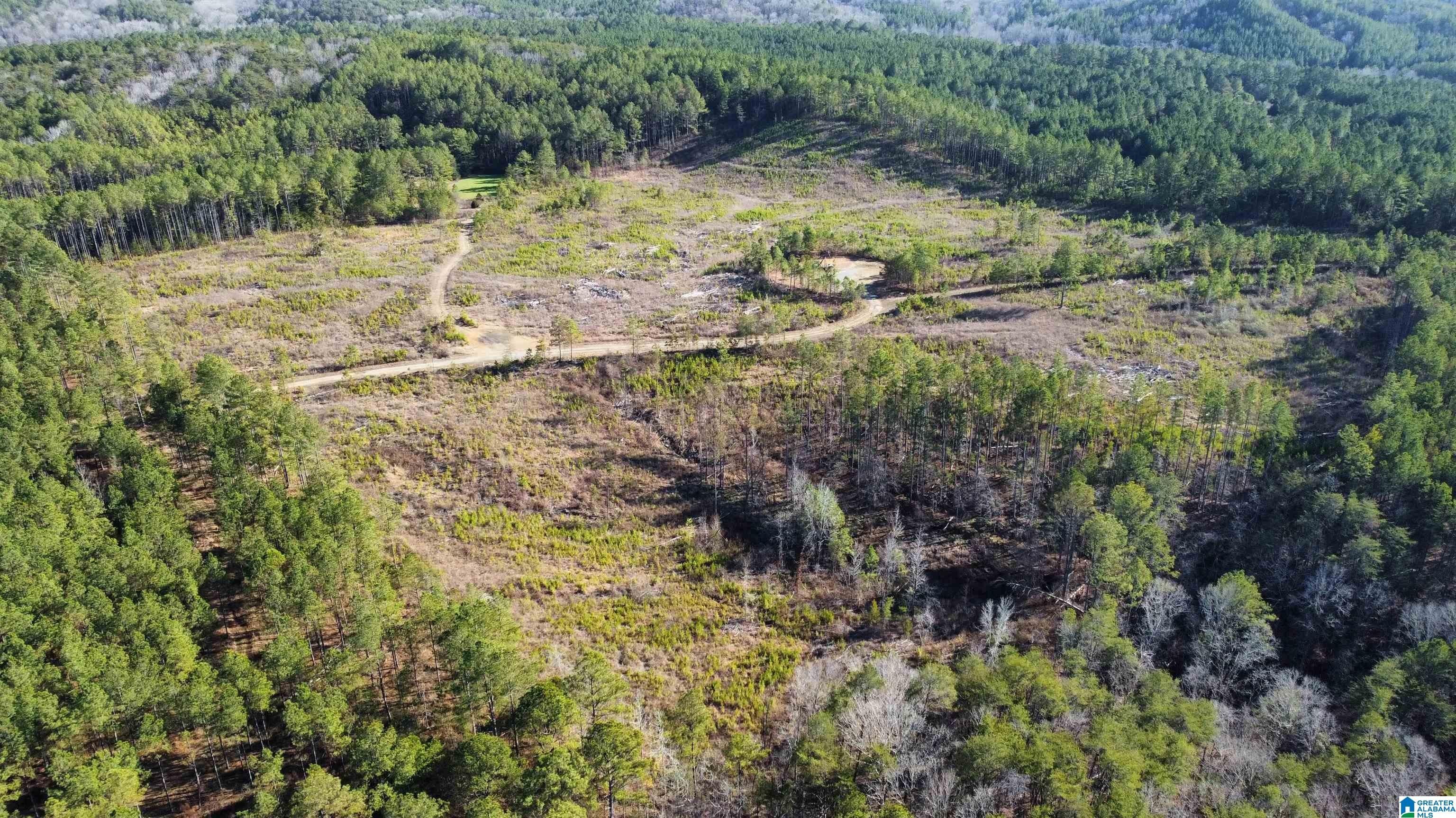 40 acres in Tuscaloosa County, Alabama