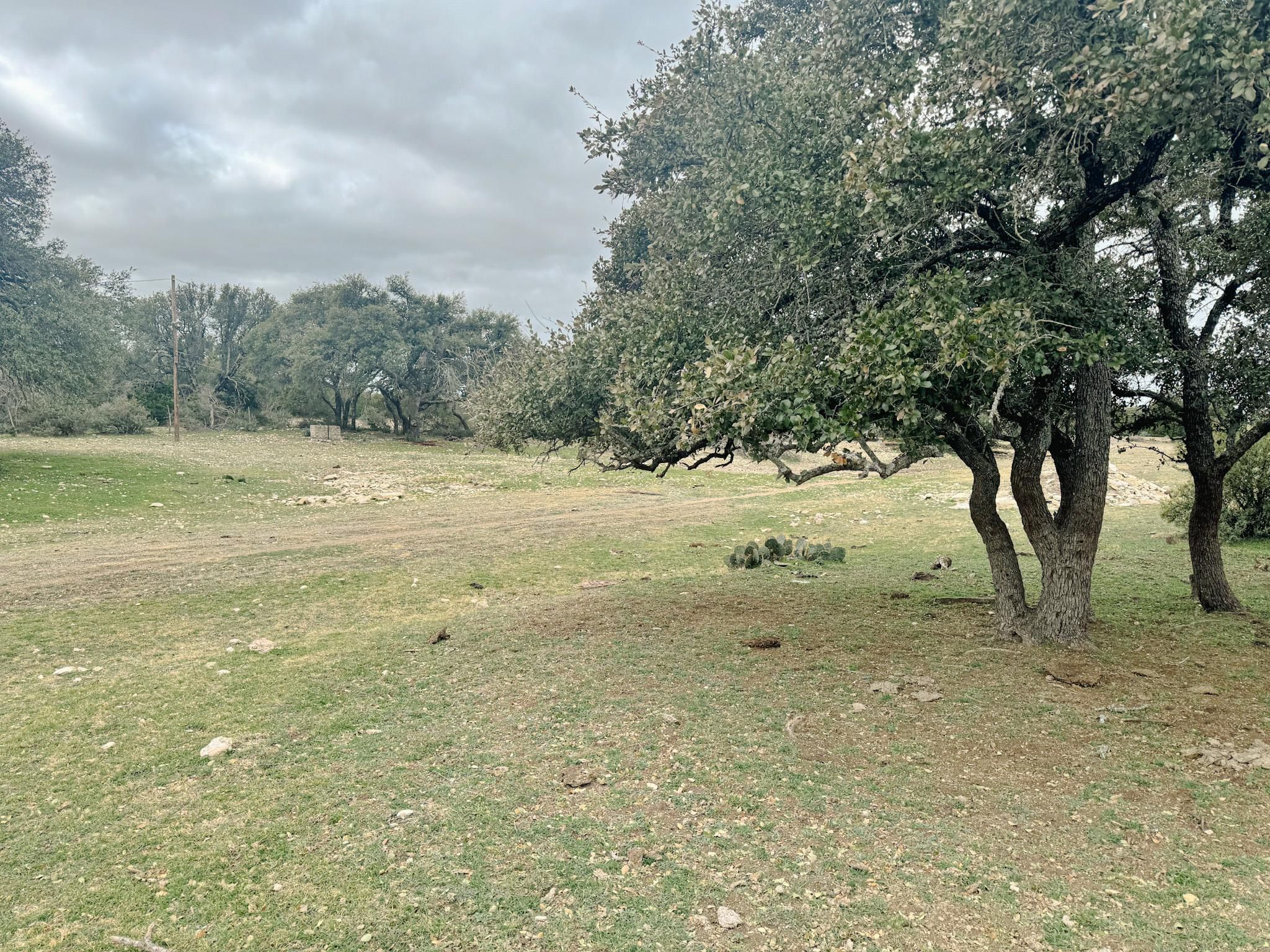 20 acres in Menard, TX, 76859