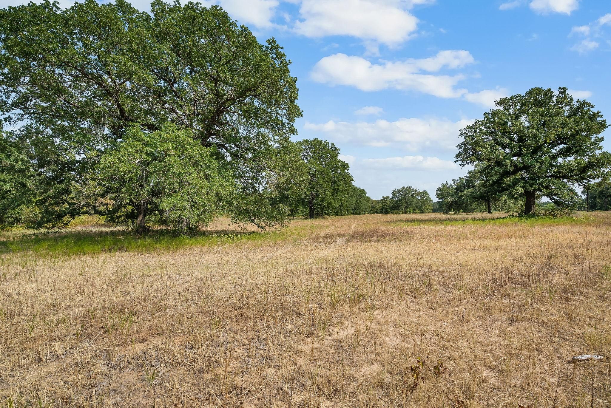 10 acres in Jack County, Texas