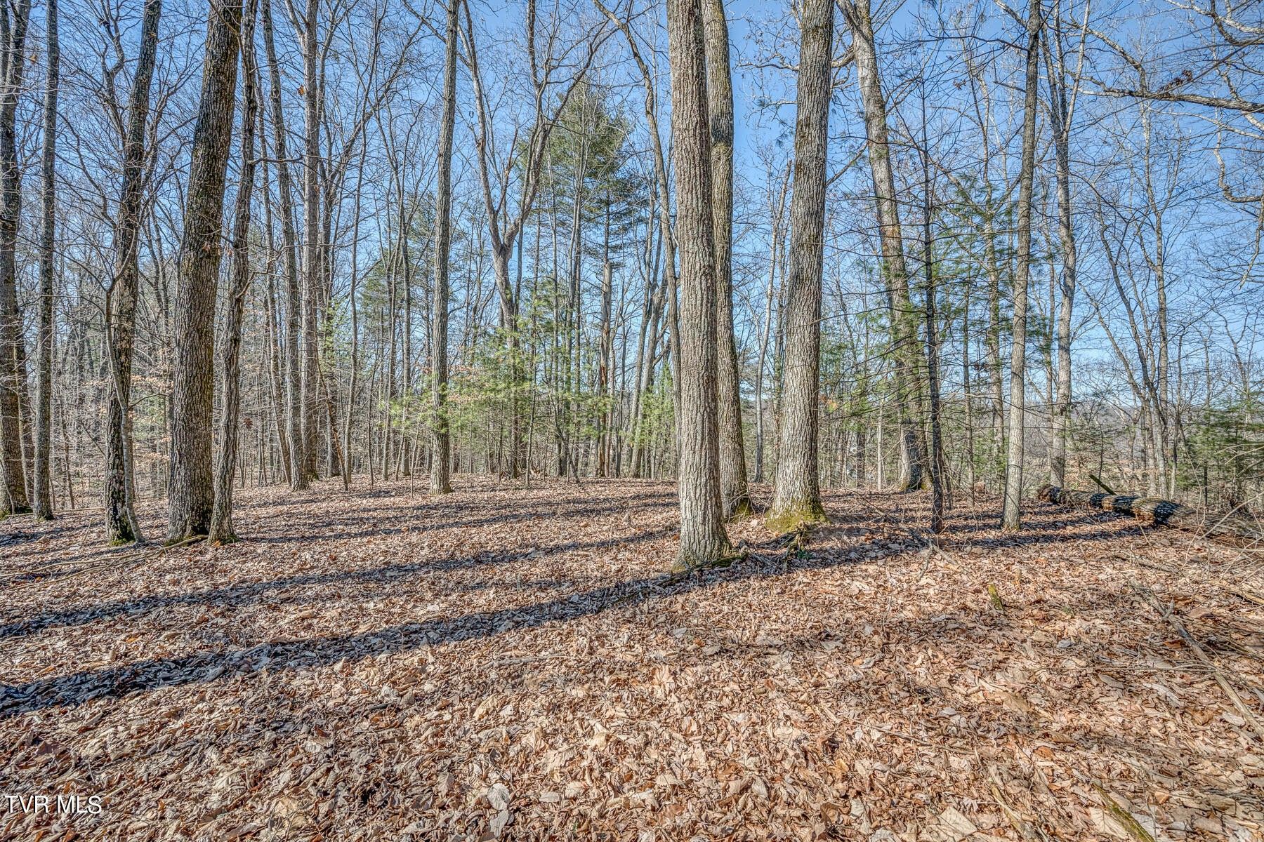 1.77 acres in Washington County, Virginia