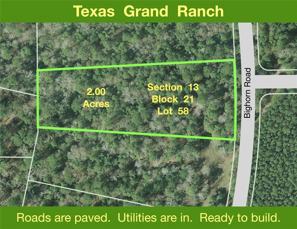 2 acres in Walker County, Texas