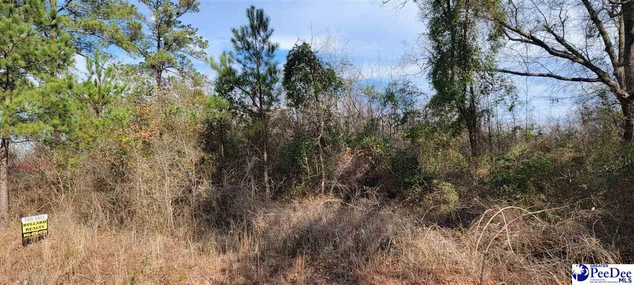TBD FireTower Road, SC 29512 MLS 20240433