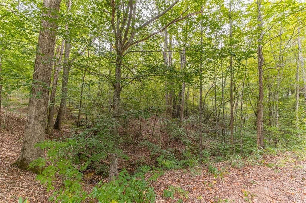 4.24 acres in Hall County,