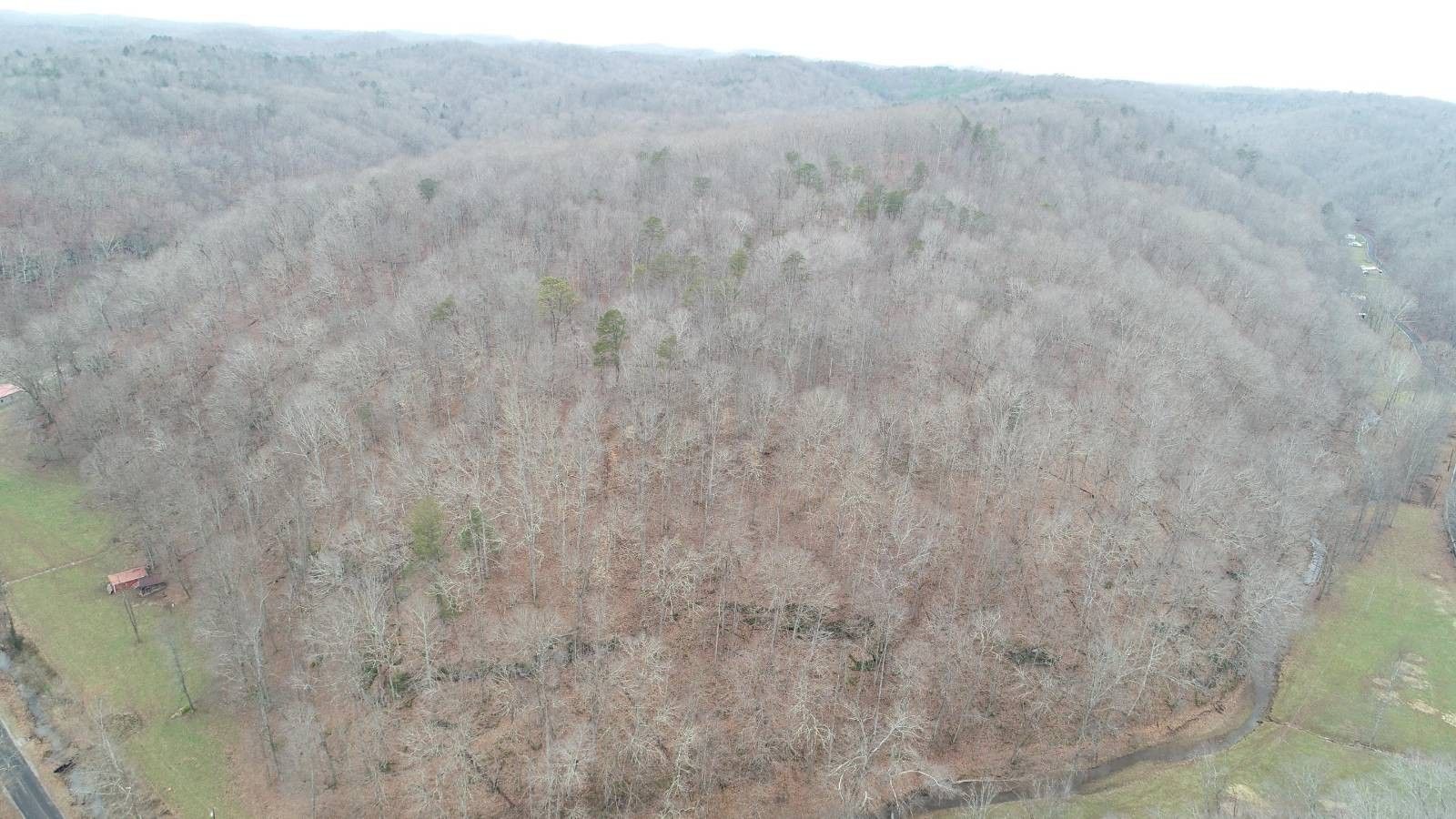 40 acres in Calhoun County, West Virginia