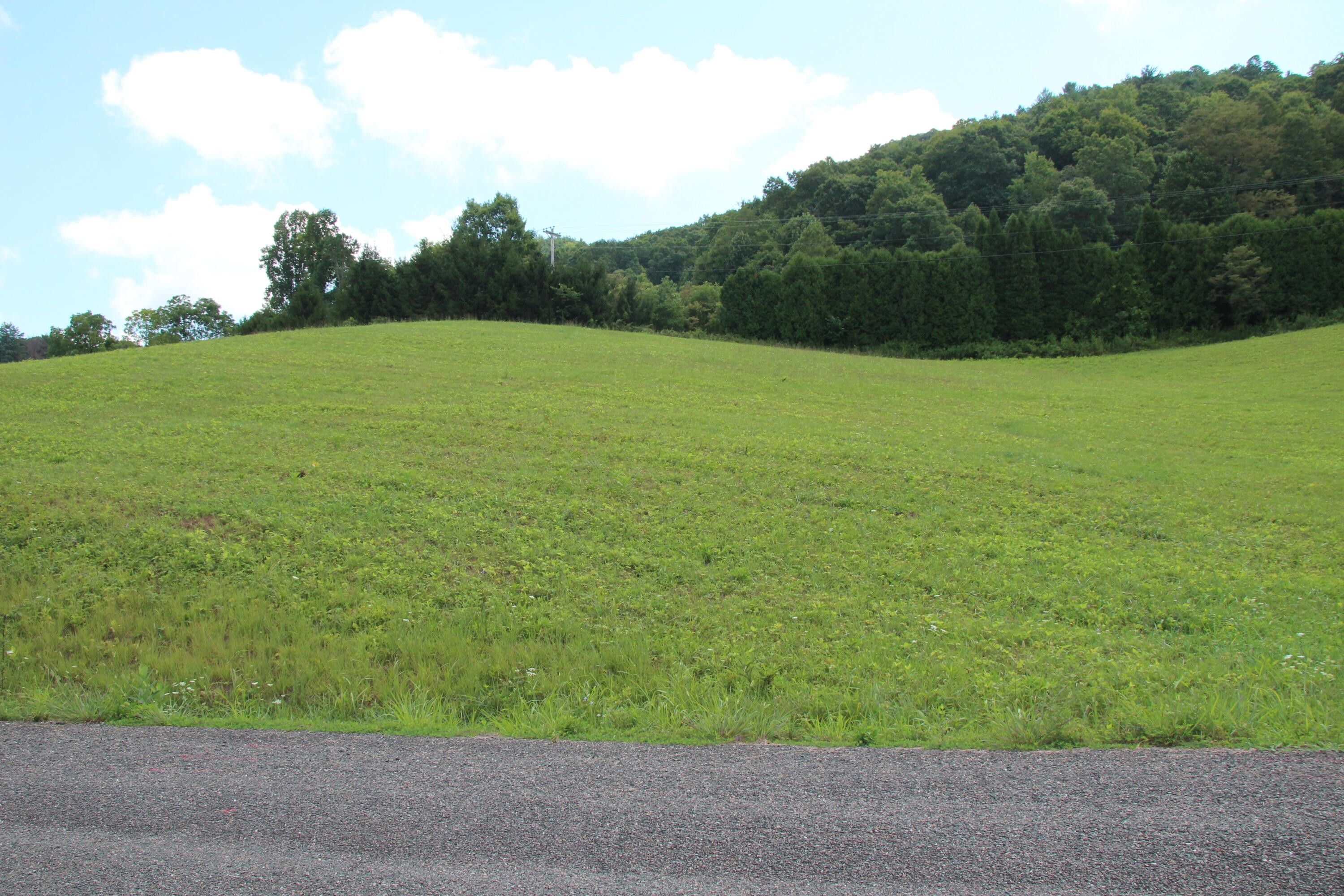 000 Silver Oak Trail, Lot 14, Butler, TN 37640 MLS 9941914