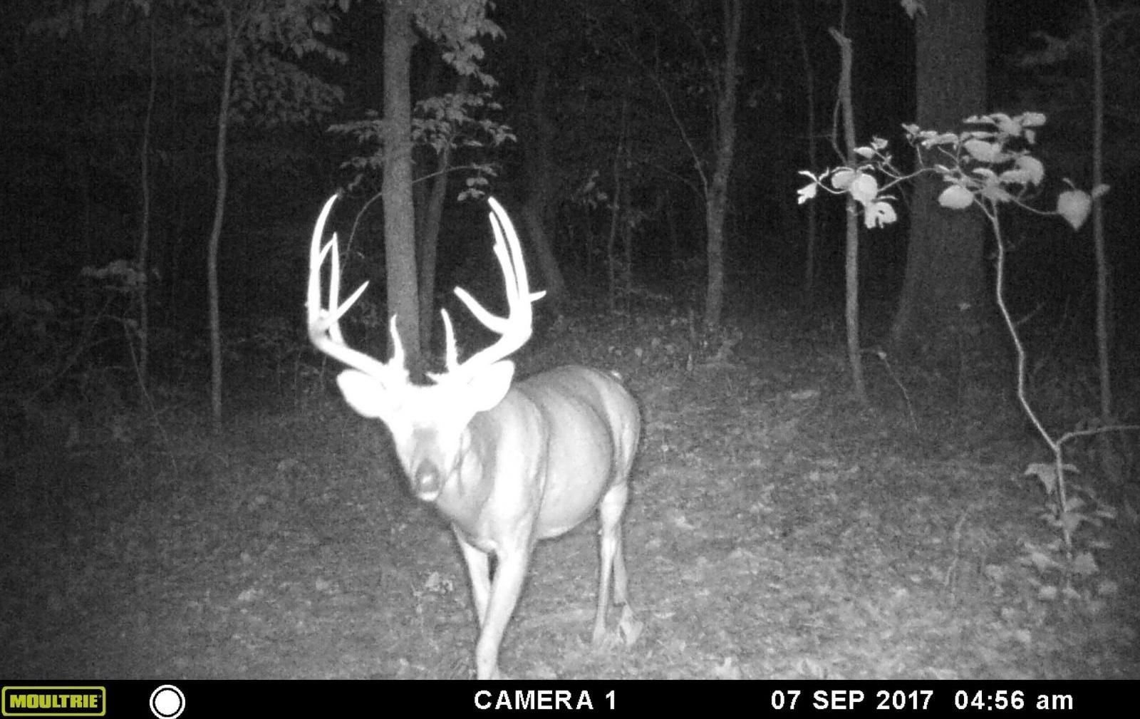 23.47 acres in Callaway County, Missouri