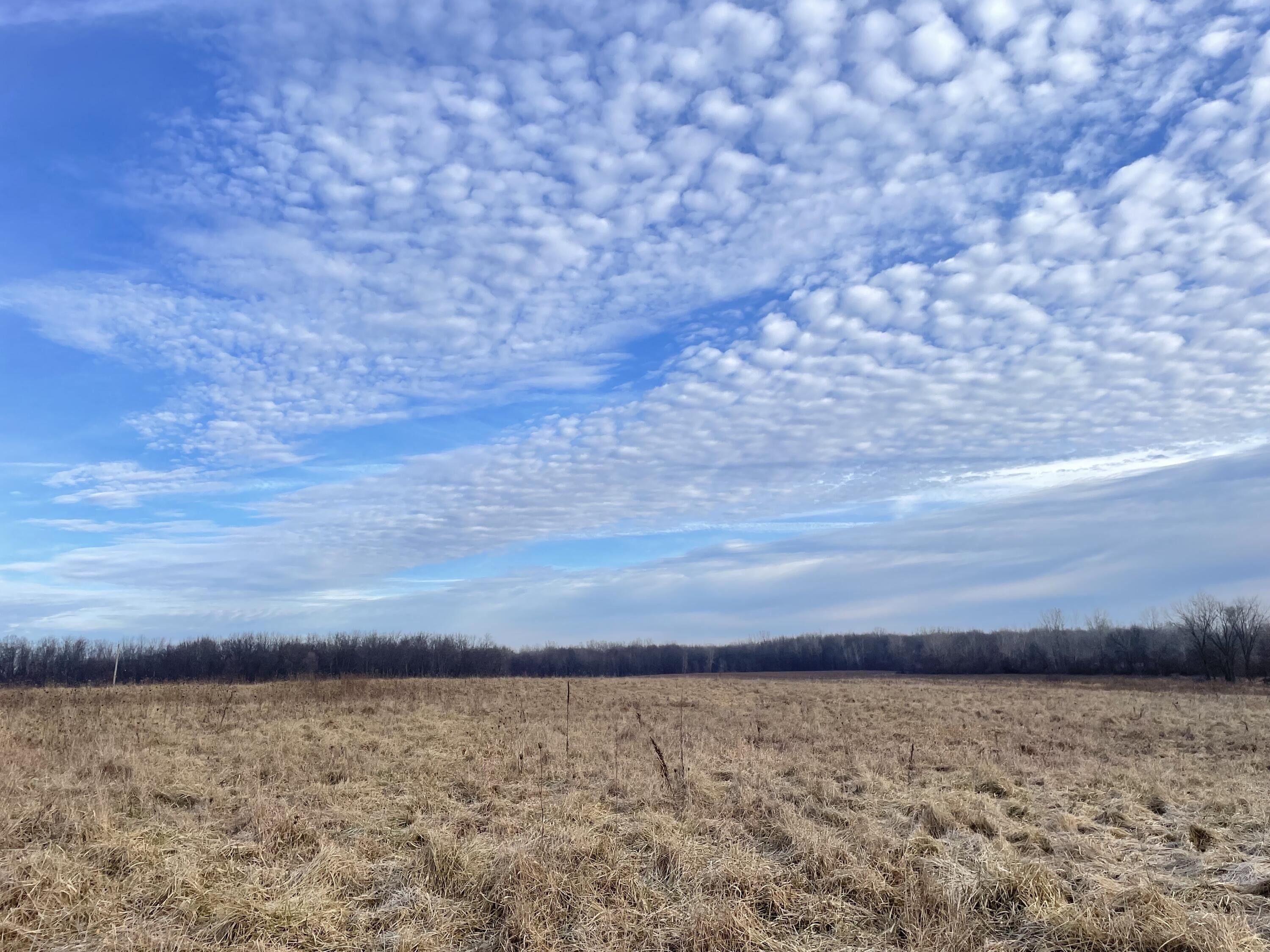 Acreage Tekonsha, MI