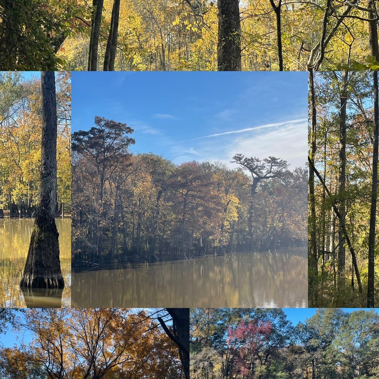 97 acres in Lee County, Arkansas