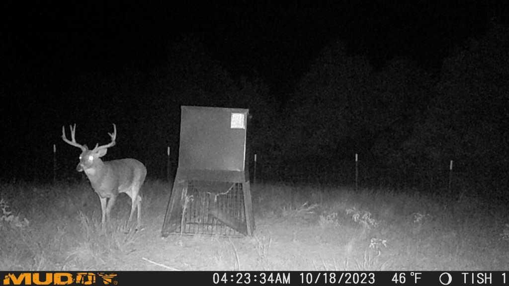 226 acres in Tishomingo, OK, 73460