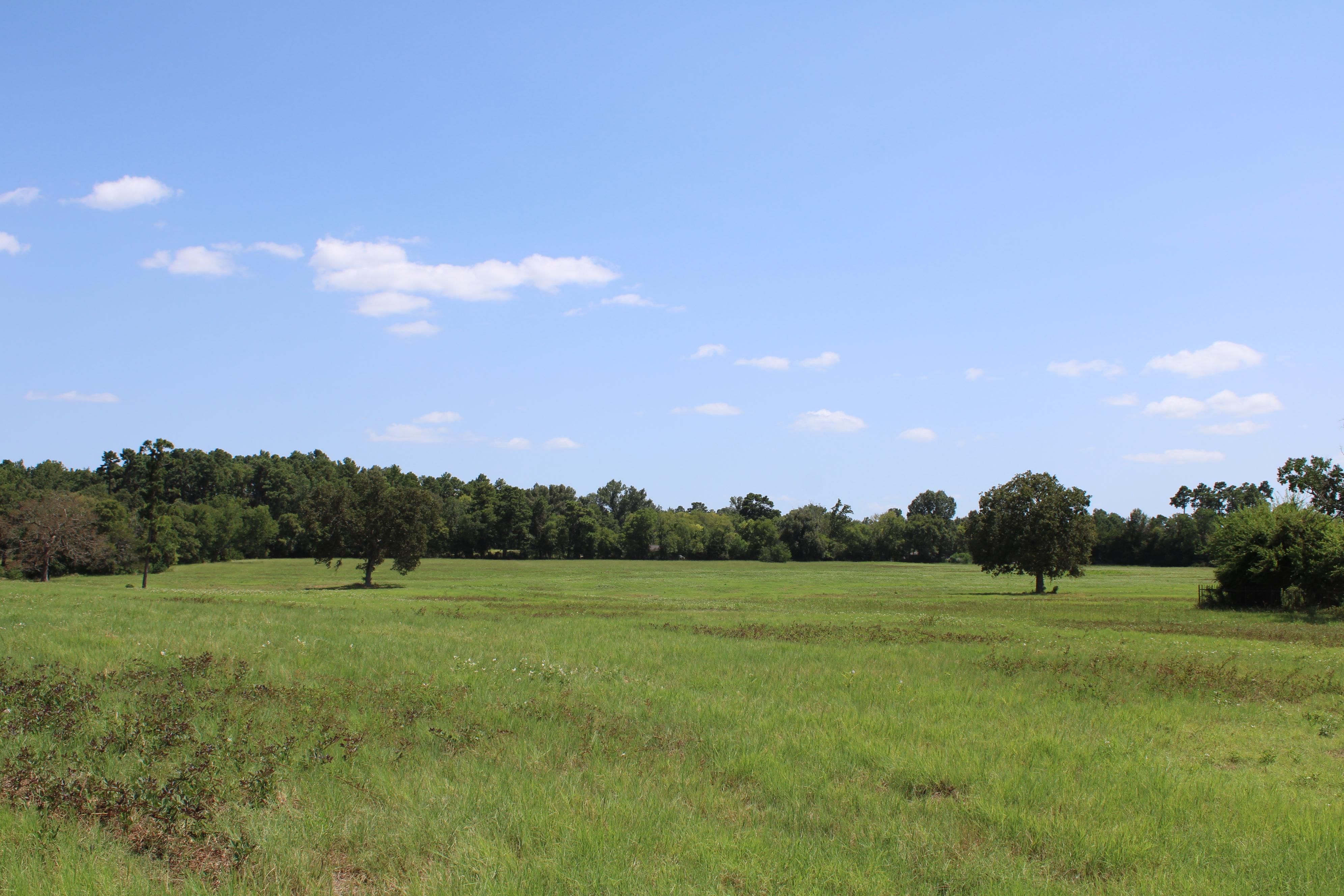42 acres in Angelina County, Texas
