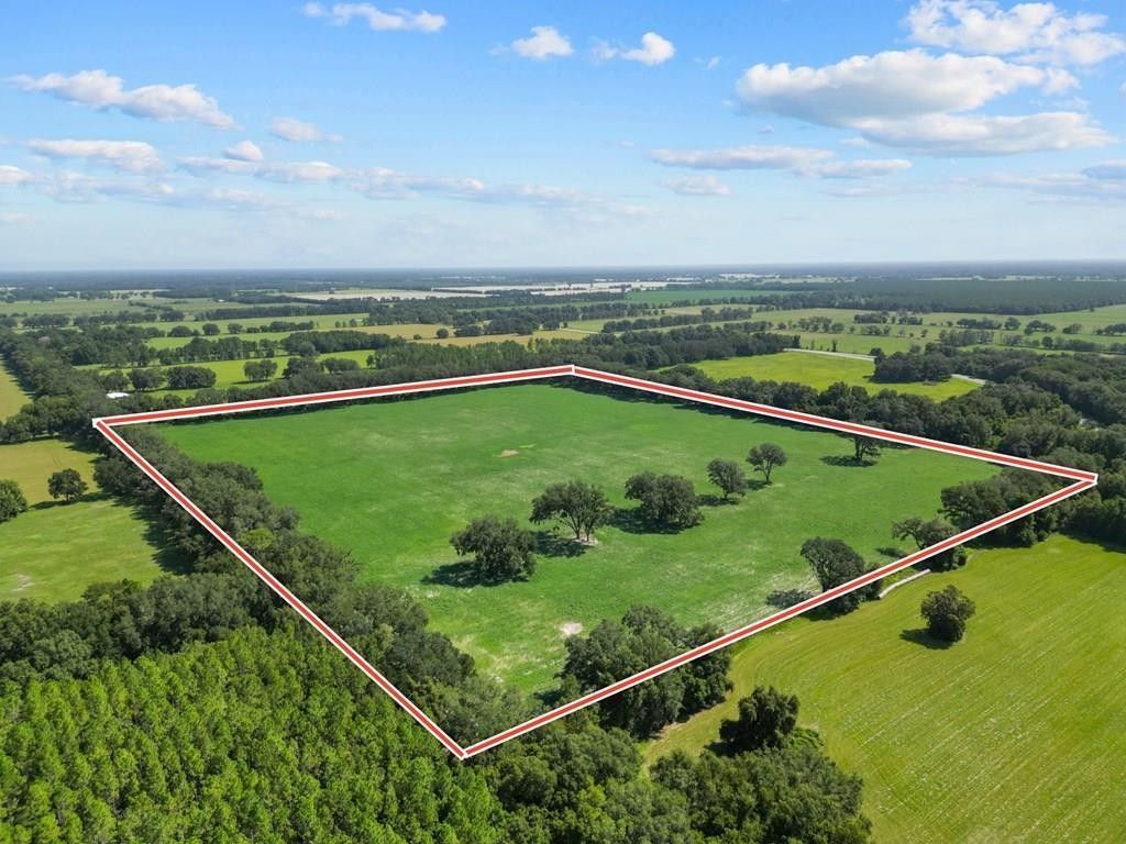 50 acres in Levy County, Florida