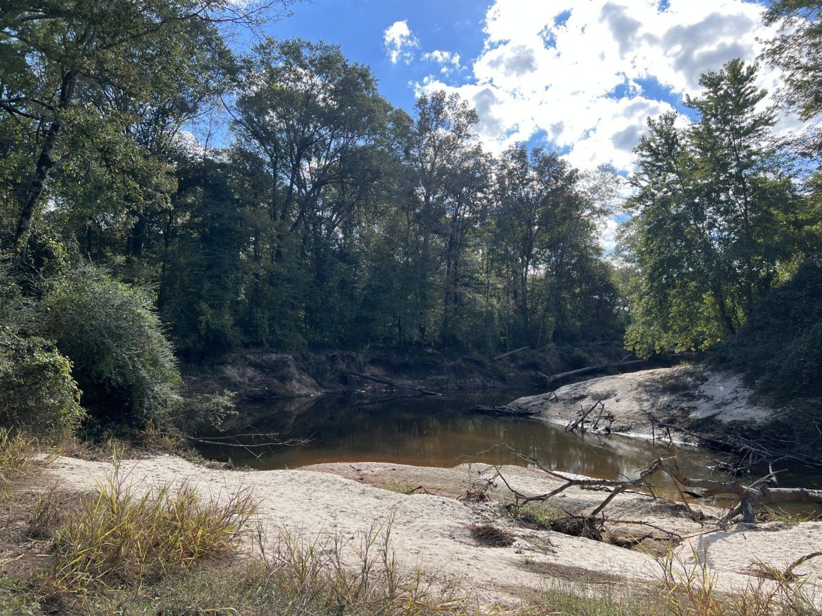 91 acres in Leake County, Mississippi