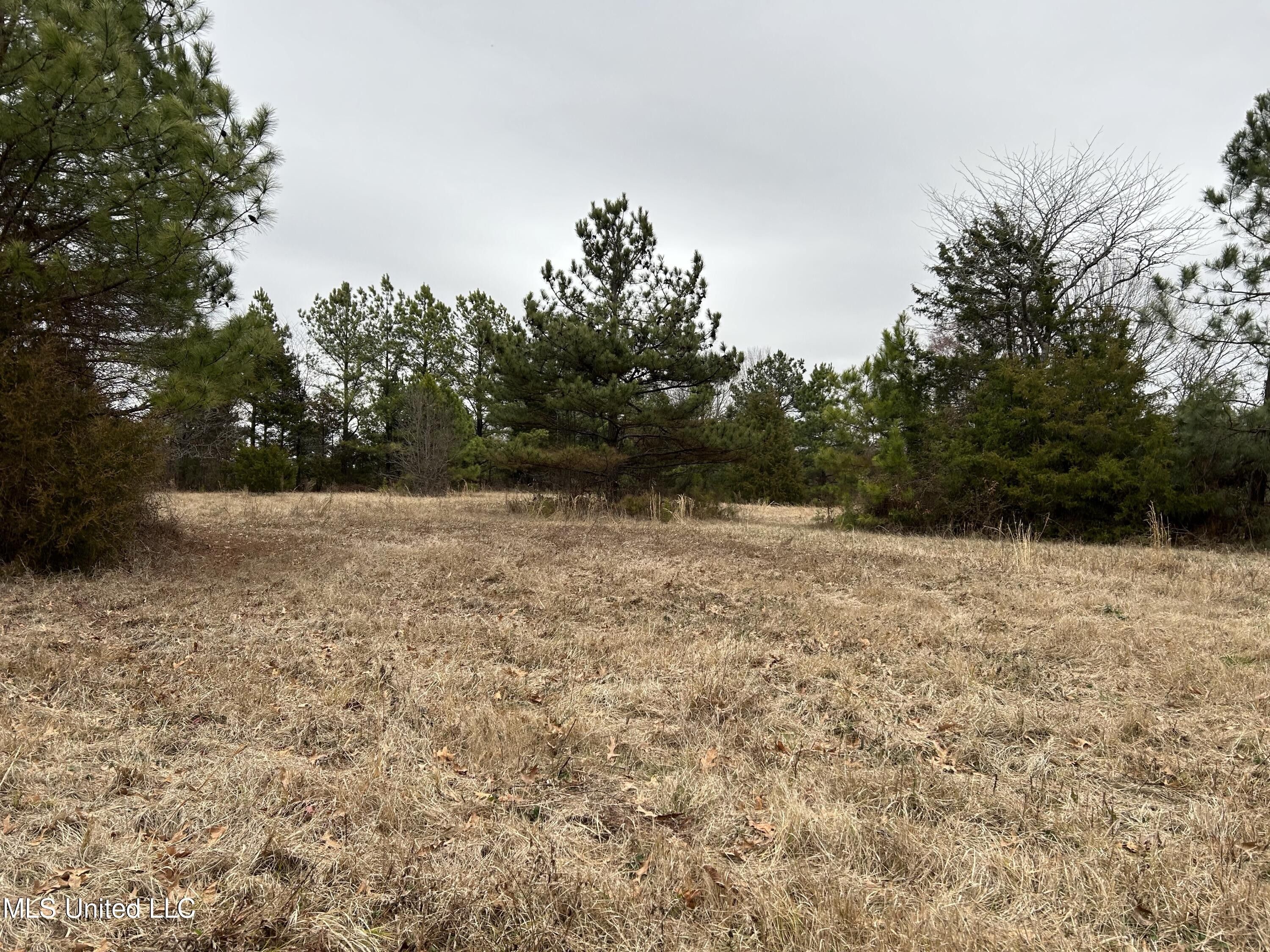 Acreage (10 acres or less) - Olive Branch, MS