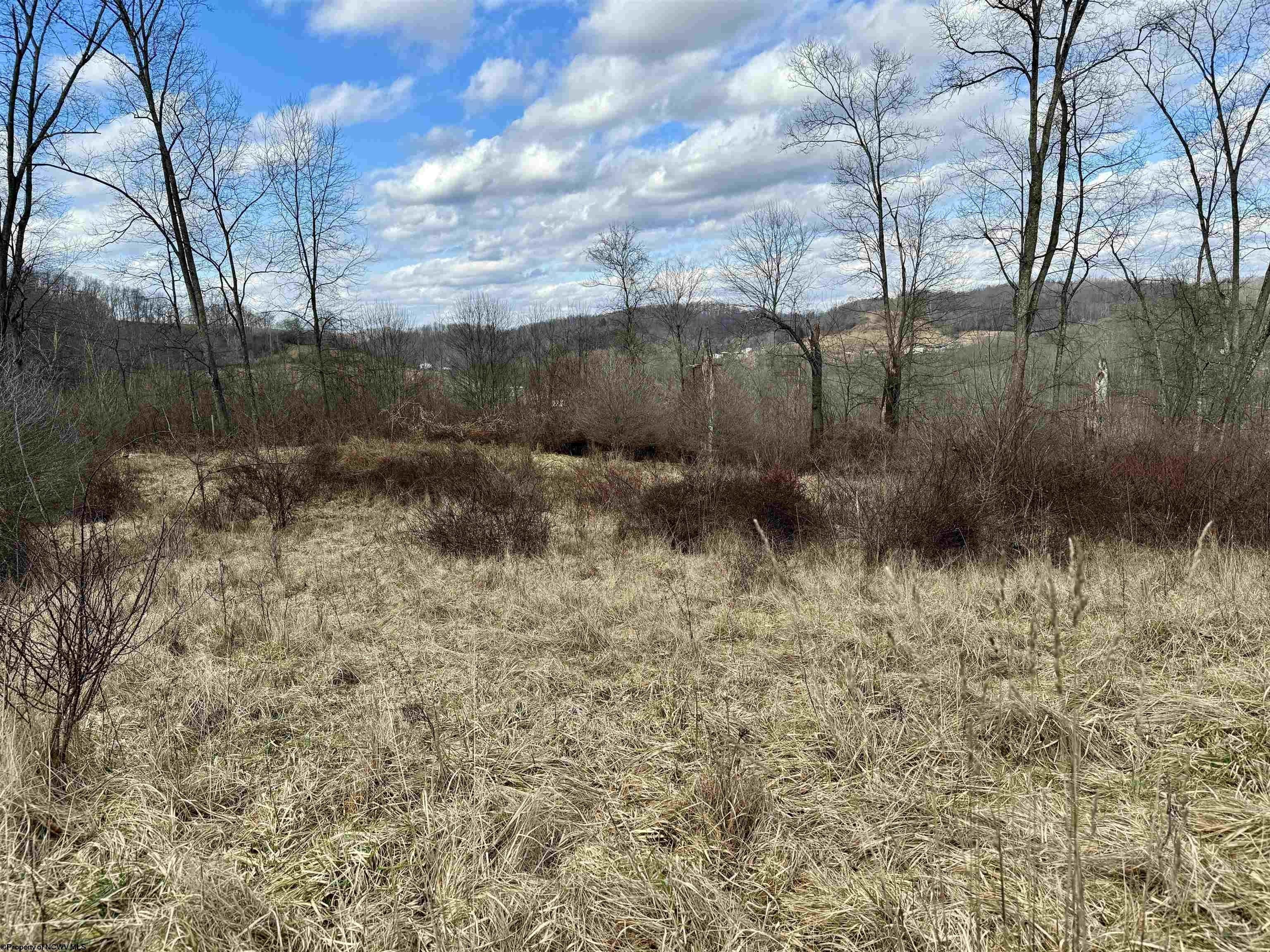 5.17 acres in Taylor County, West Virginia