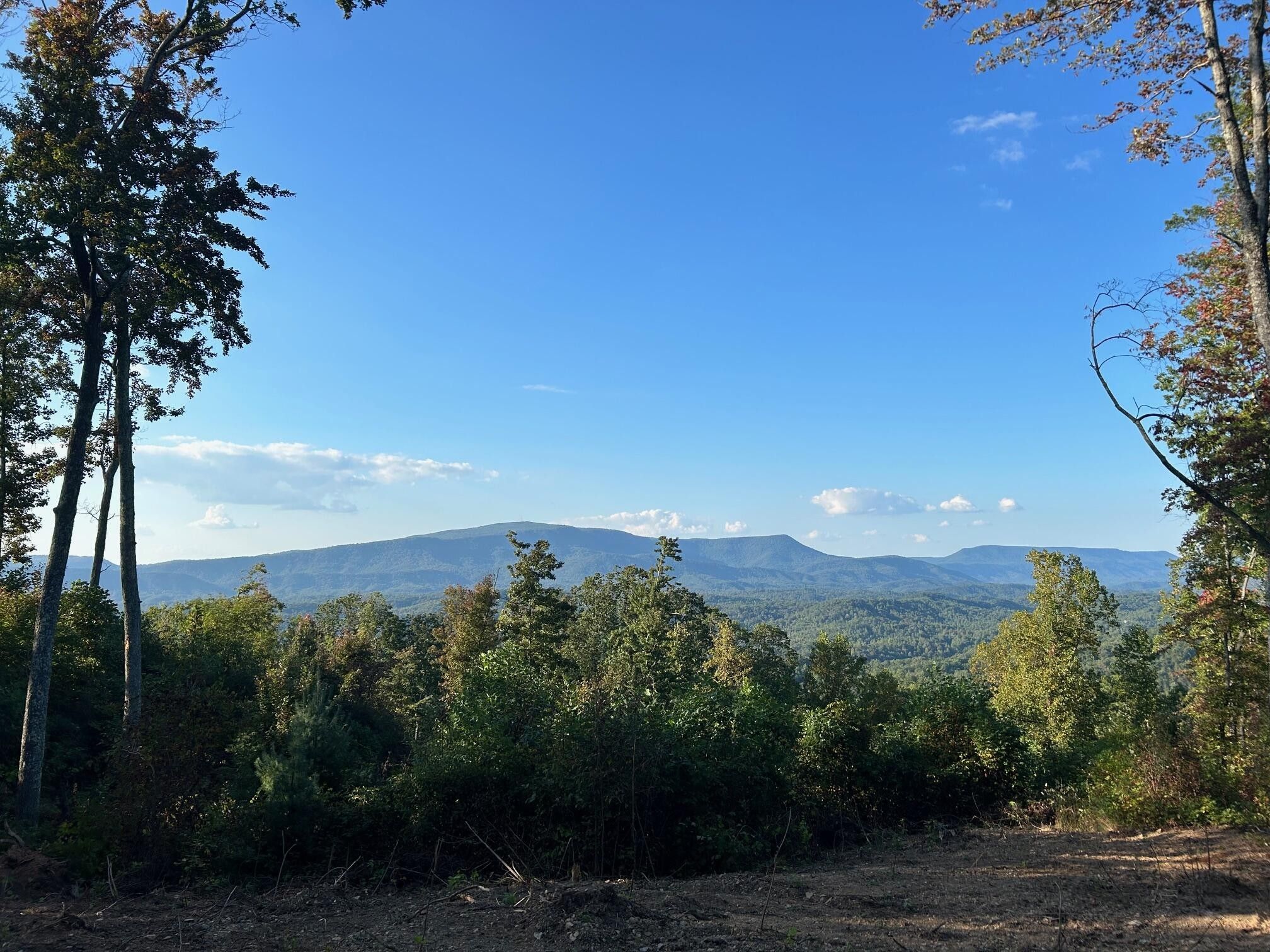 Unimproved Land Reliance, TN