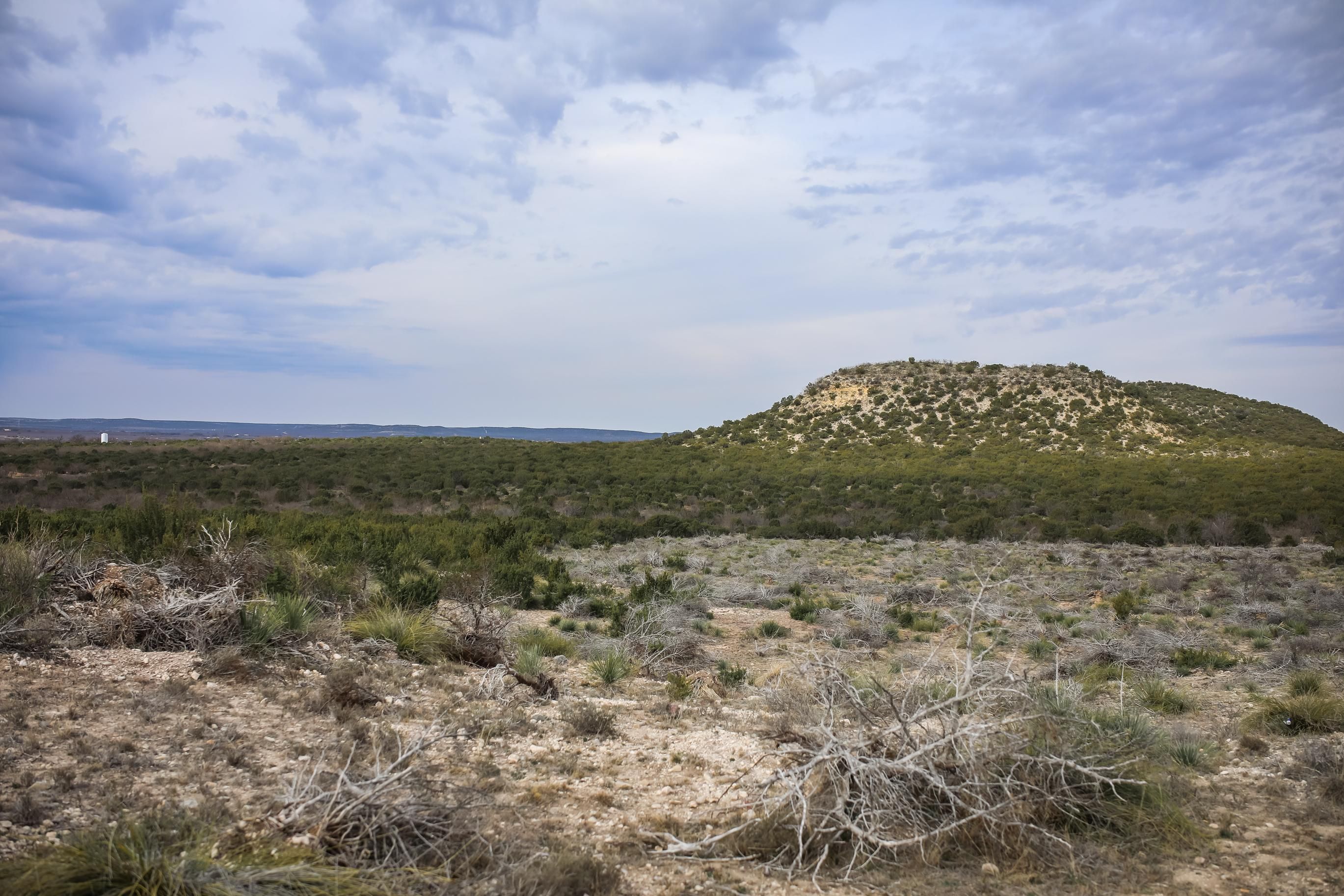 160 acres in Carlsbad, TX, 76934