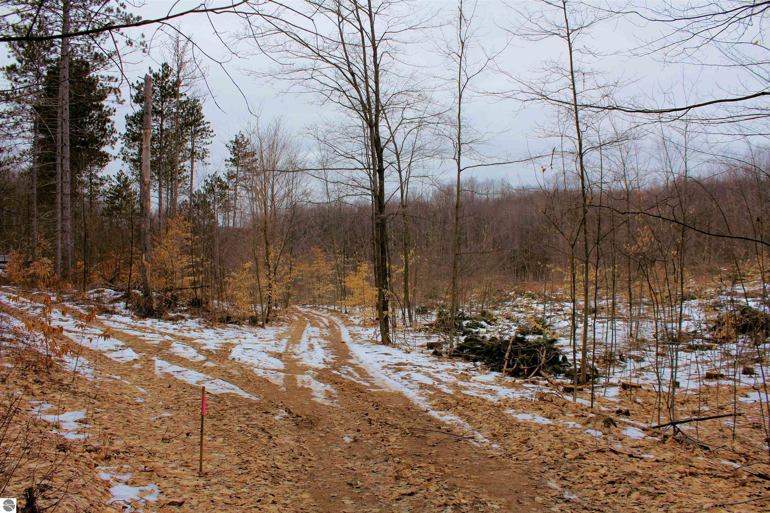 10.02 acres in Wexford County, Michigan