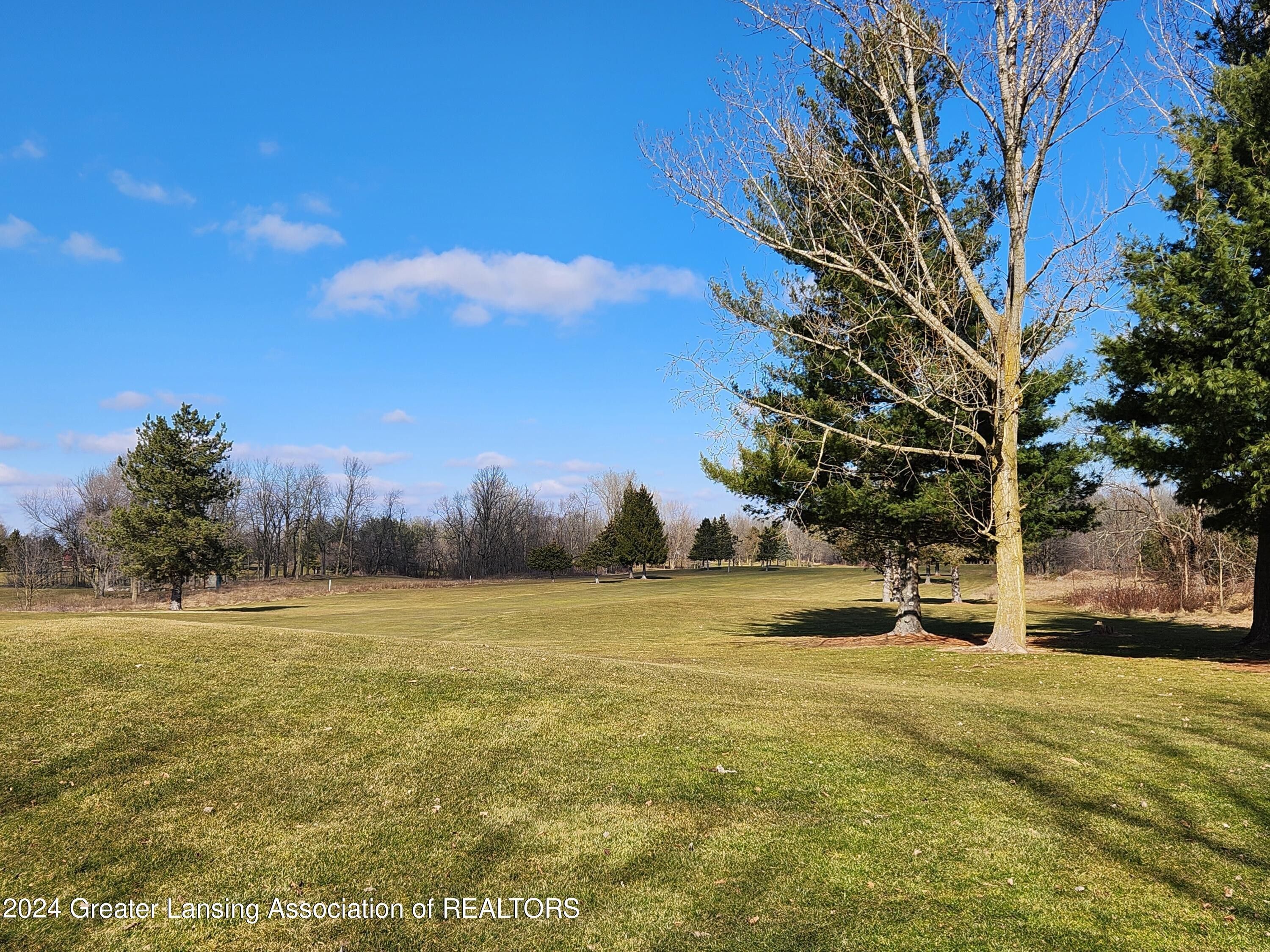 V/L Saginaw, Sunfield, MI 48890 MLS 278099