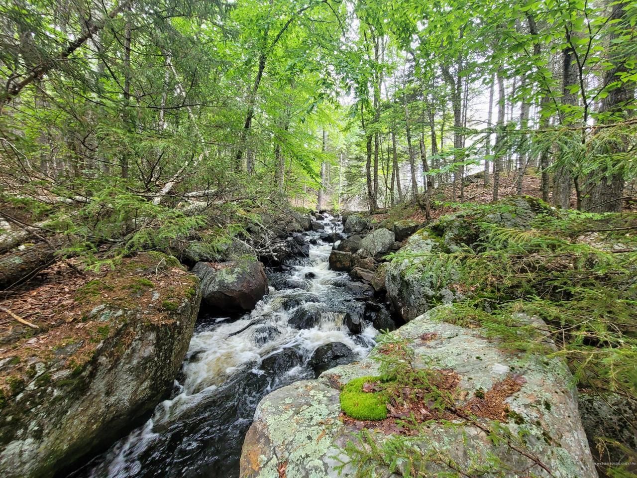 M27L101 Grindleville Road, Blue Hill, ME 04614 MLS 1521195