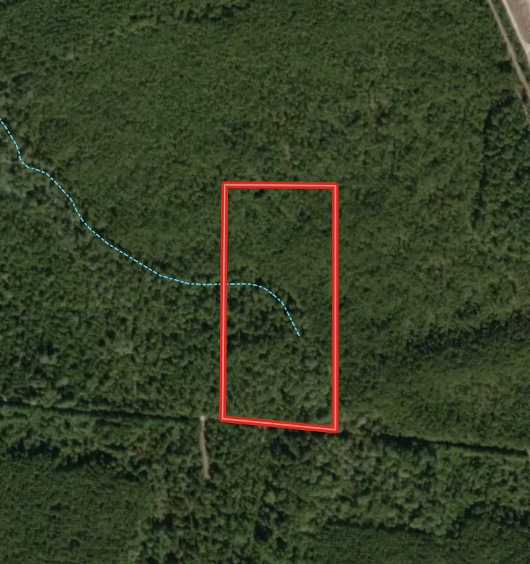 Fire Tower Road, Kountze, TX 77625