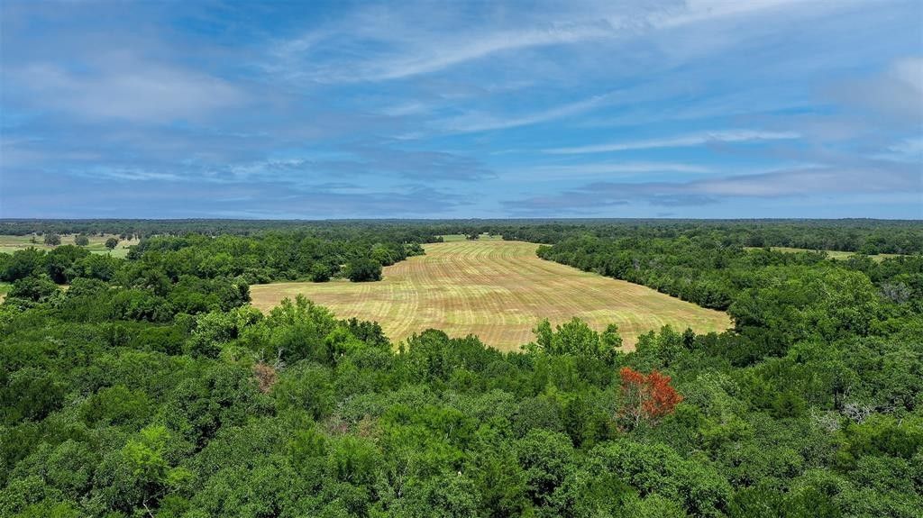 244.71 acres in Milam County, Texas