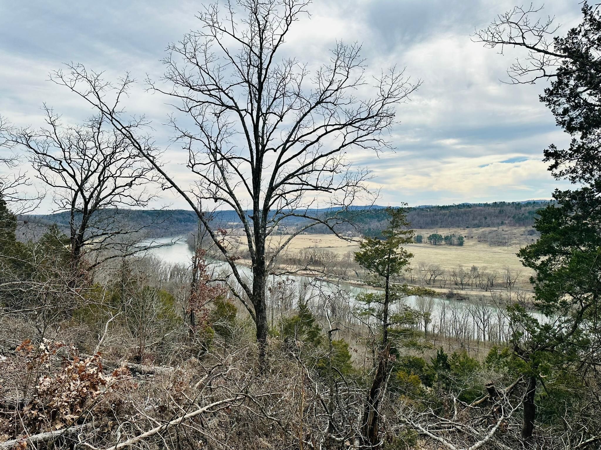 Dwelle Rd, Norfork, AR 72658 MLS 24004739