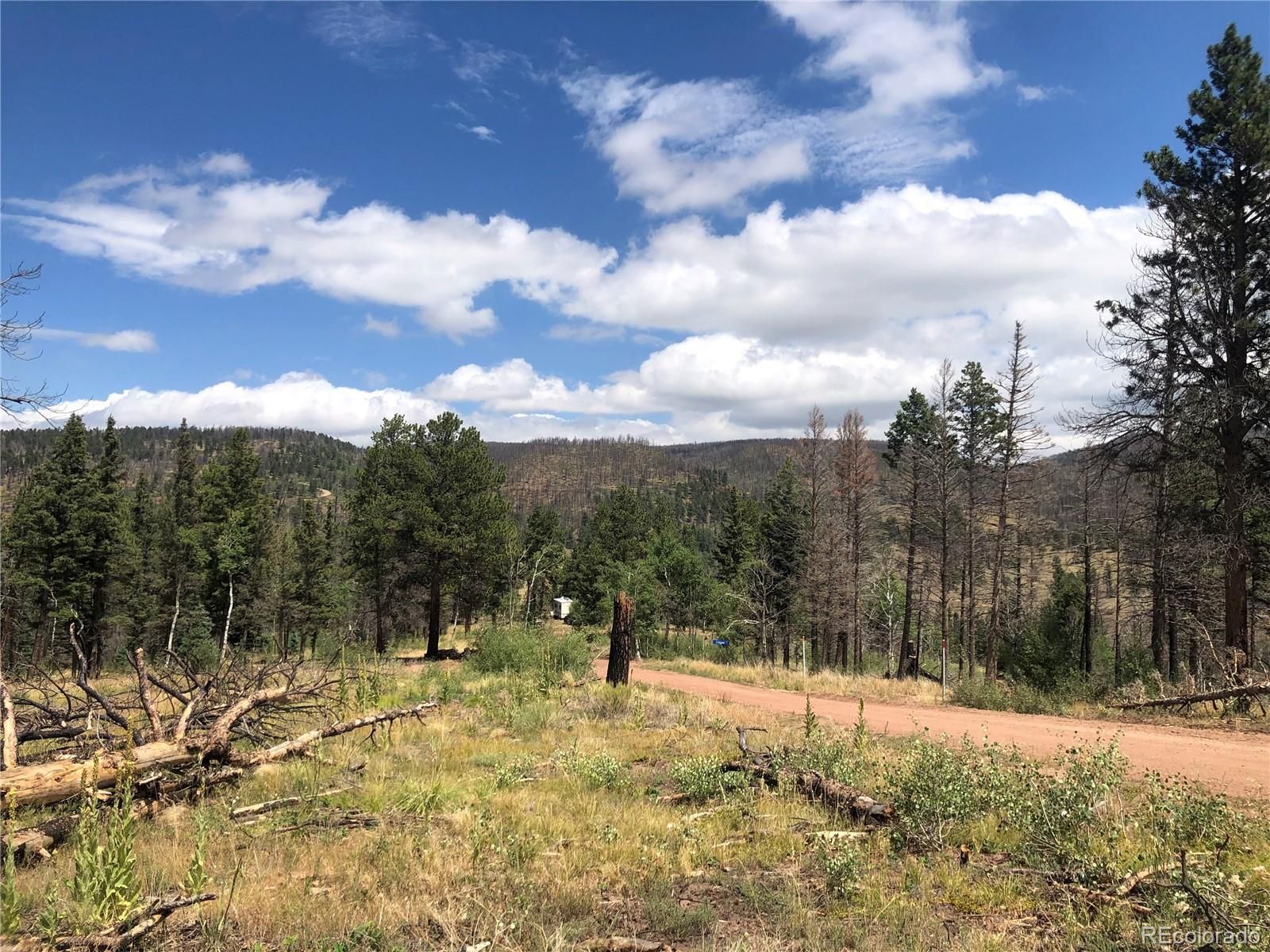 Richard Dr, Fort Garland, CO 81133 MLS 5091683