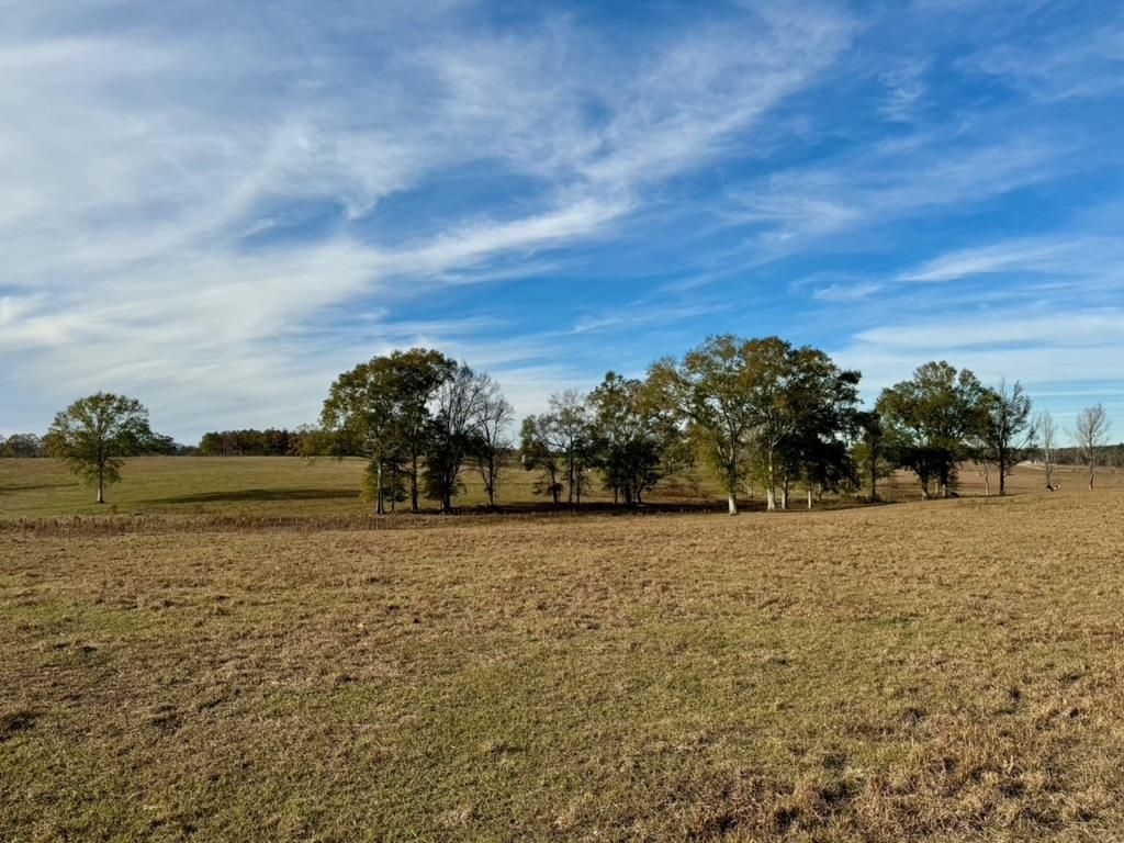 110 acres in Washington Parish, Louisiana