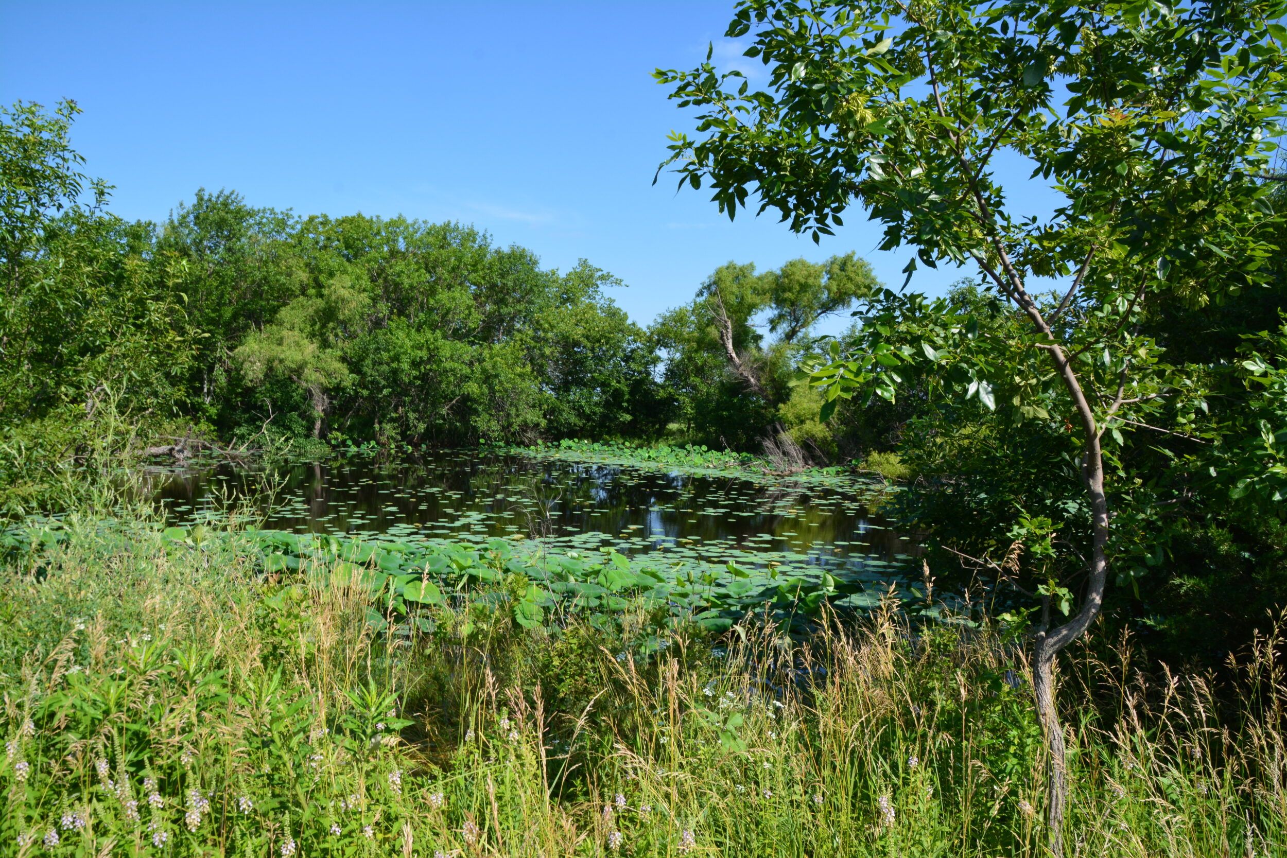 NANA, South Valencia Road, Burlingame, KS 66413