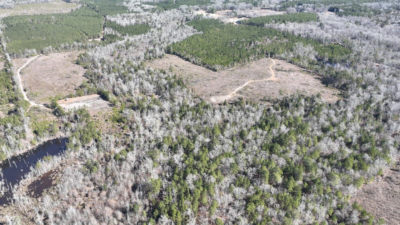 100 acres in Saline, LA, 71070