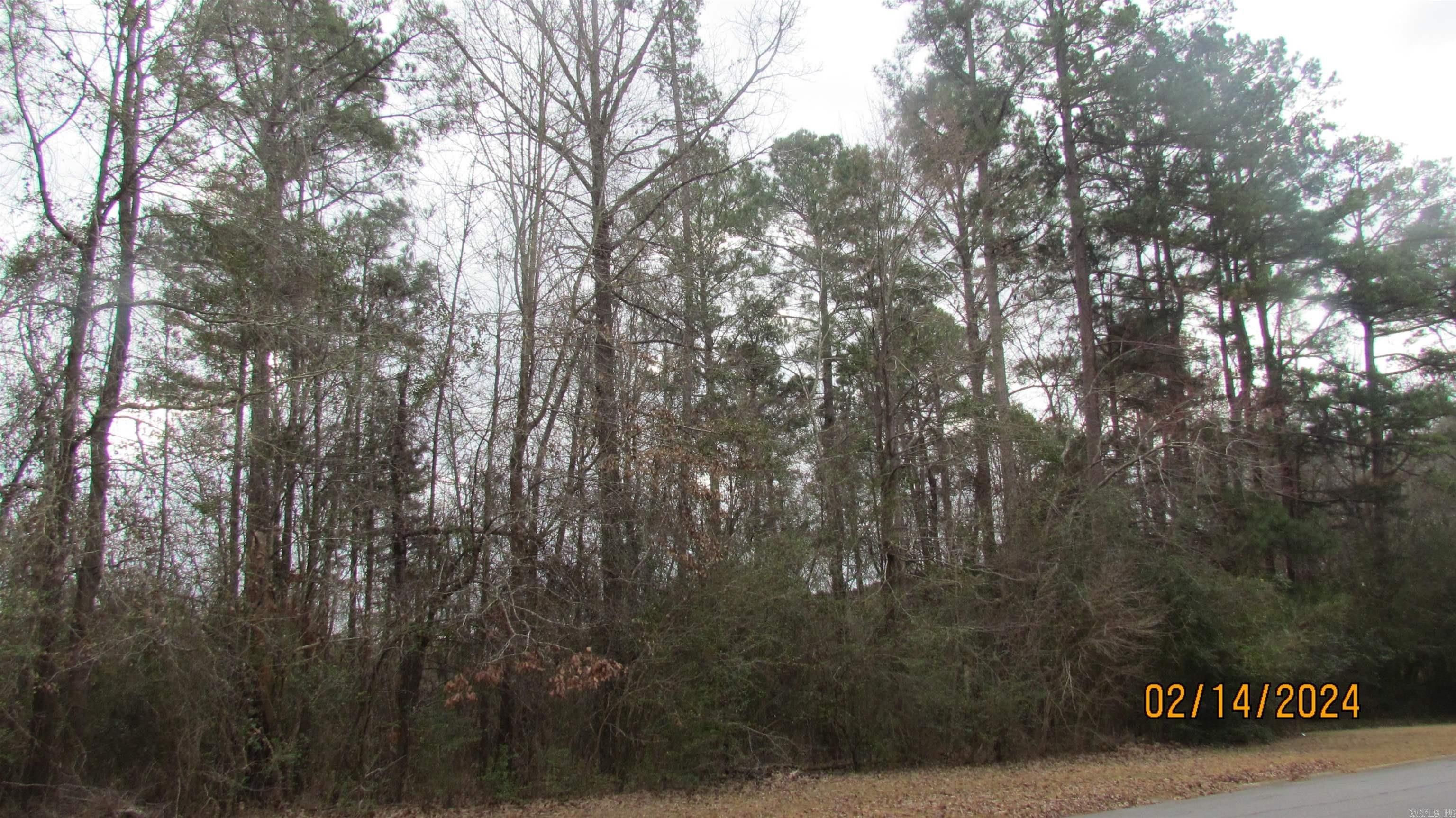 40 acres in Ashley County, Arkansas