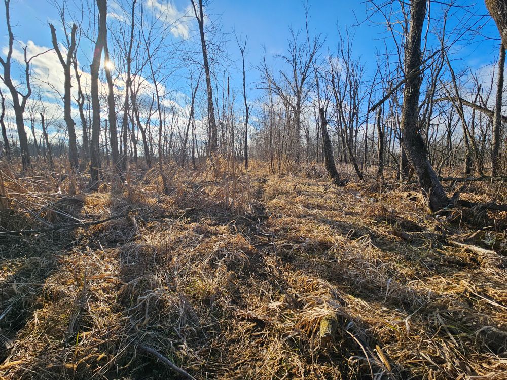 40 acres in Jefferson County, Wisconsin