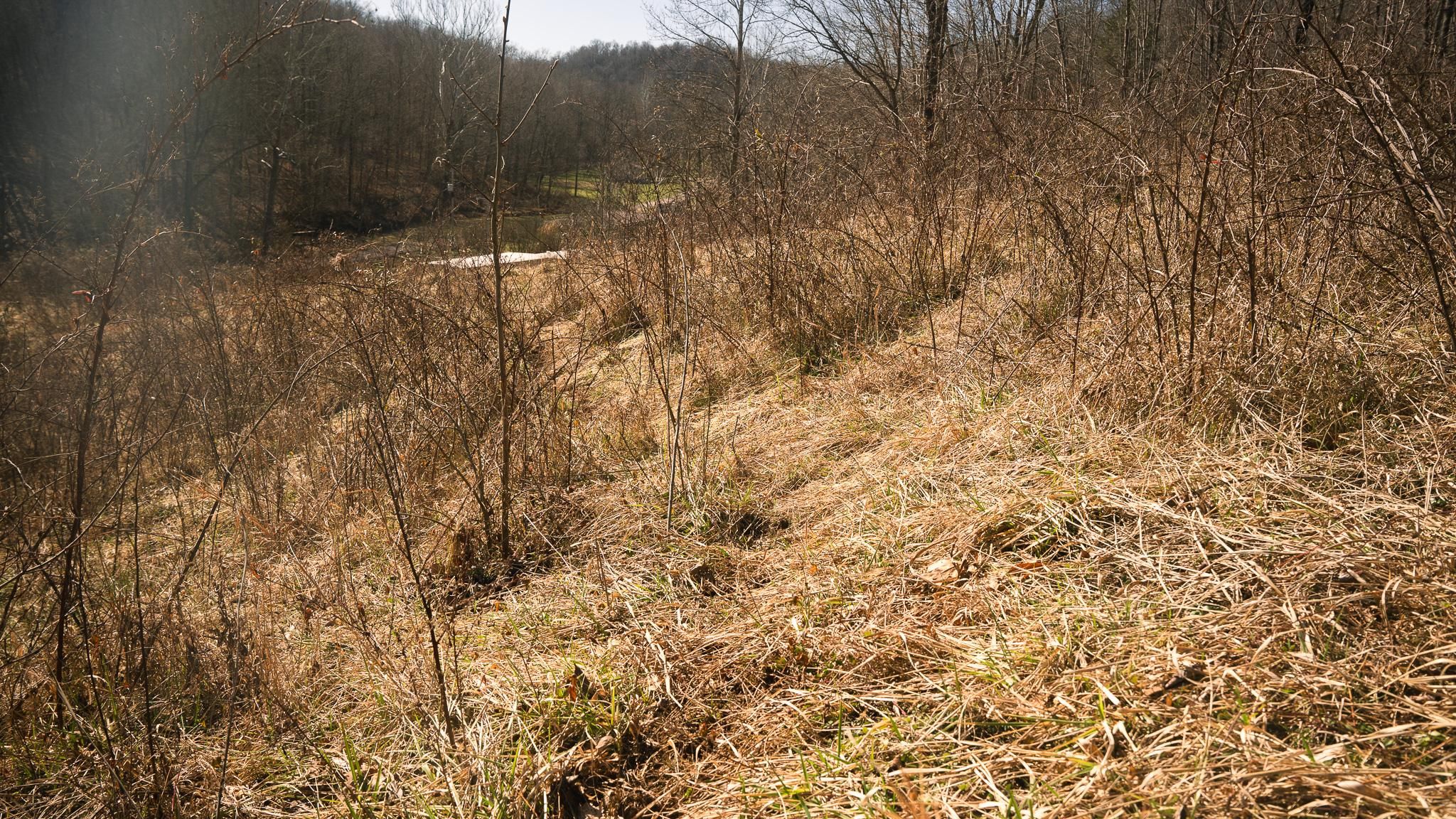 Little Bullskin Road, Patriot, OH 45658 MLS Gallia County Ohio Land