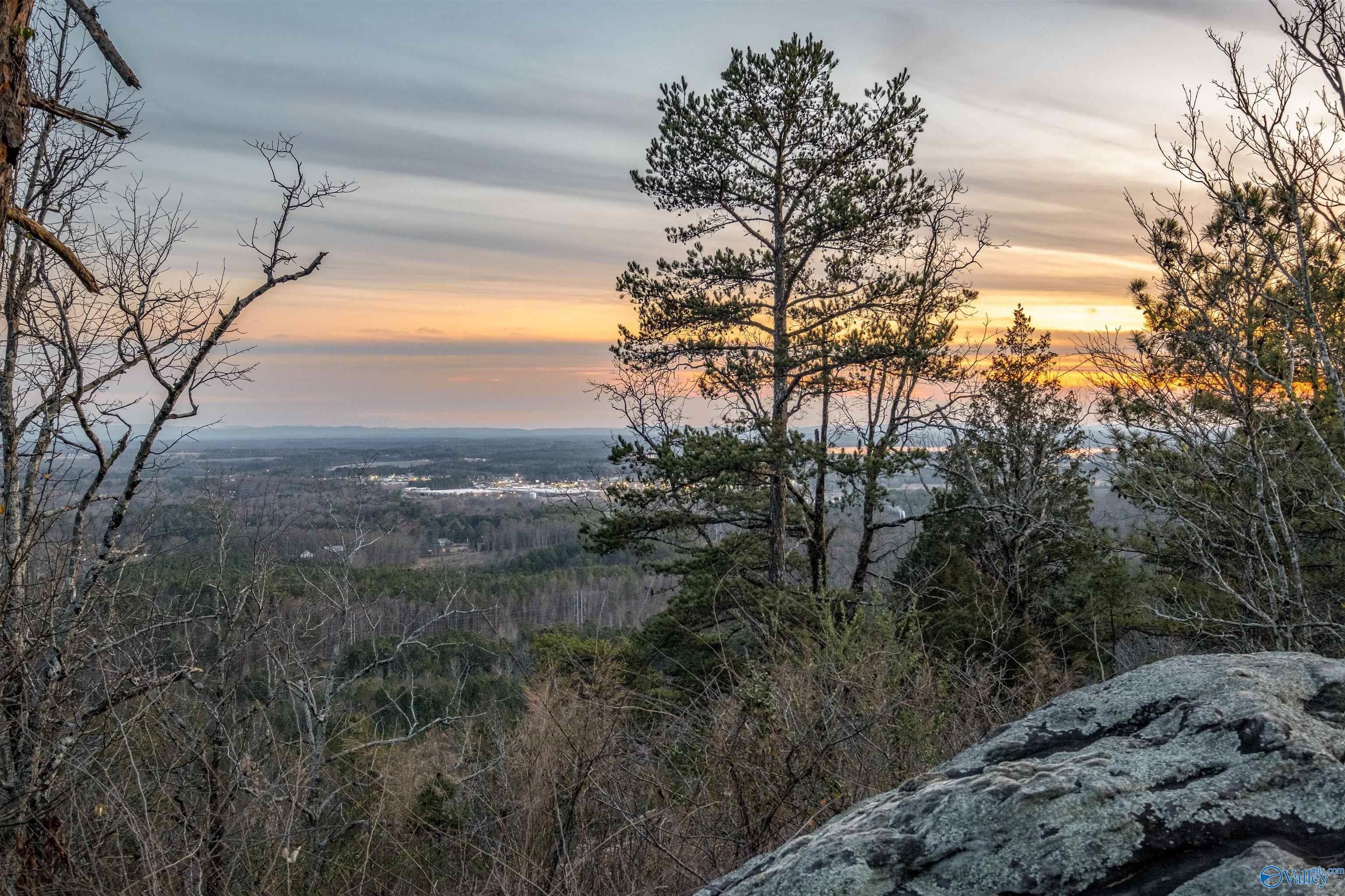 Lot 82 Mauney Lane, Leesburg, AL 35983 MLS 21851329