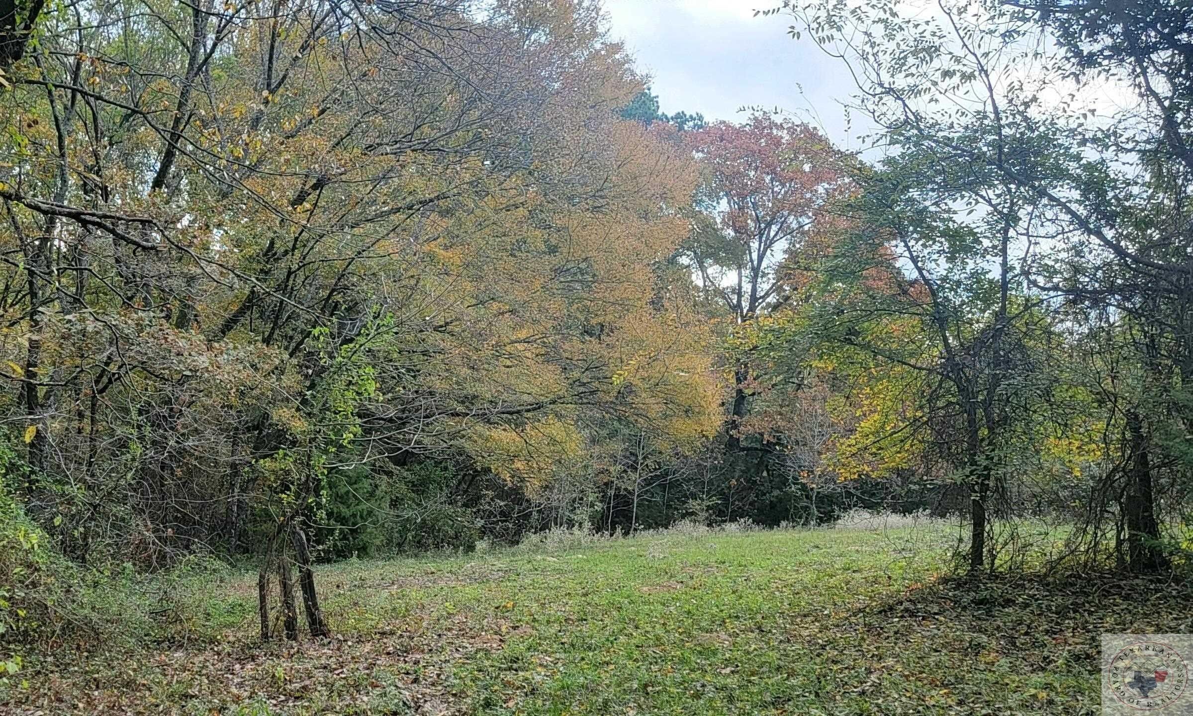 1160 County Road 4405, Annona, TX 75550 MLS 114199