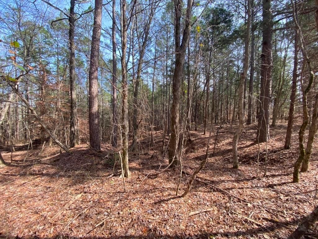 29 acres in Ripley, MS, 28139 MLS 7709 Tippah MS