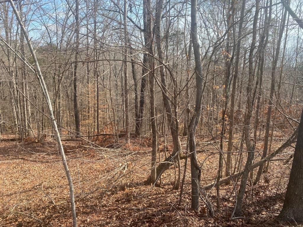 137 acres in Union County, Mississippi