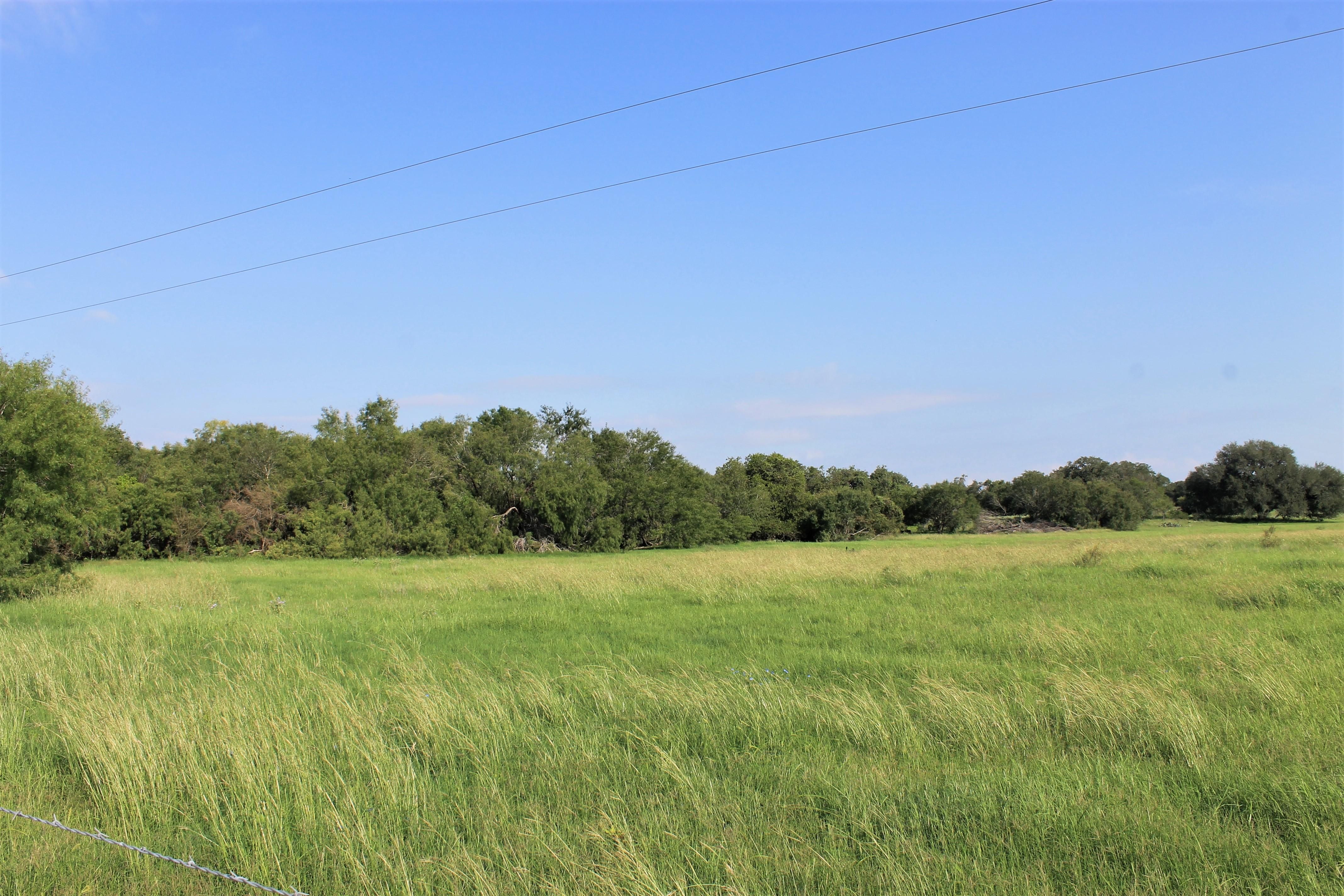 11.03 acres in Pleasanton, TX, 78064 MLS 1753052