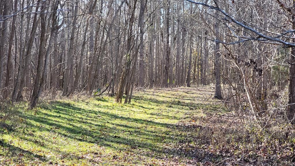 40 acres in Concordia Parish, Louisiana